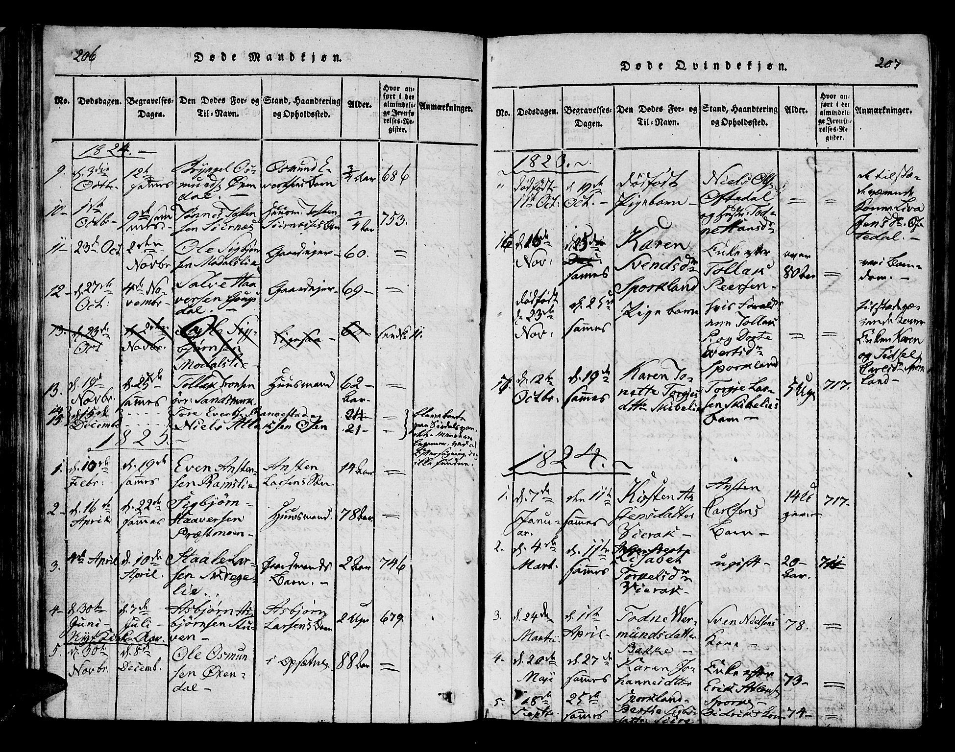 Bakke sokneprestkontor, SAK/1111-0002/F/Fa/Faa/L0003: Parish register (official) no. A 3, 1815-1835, p. 206-207