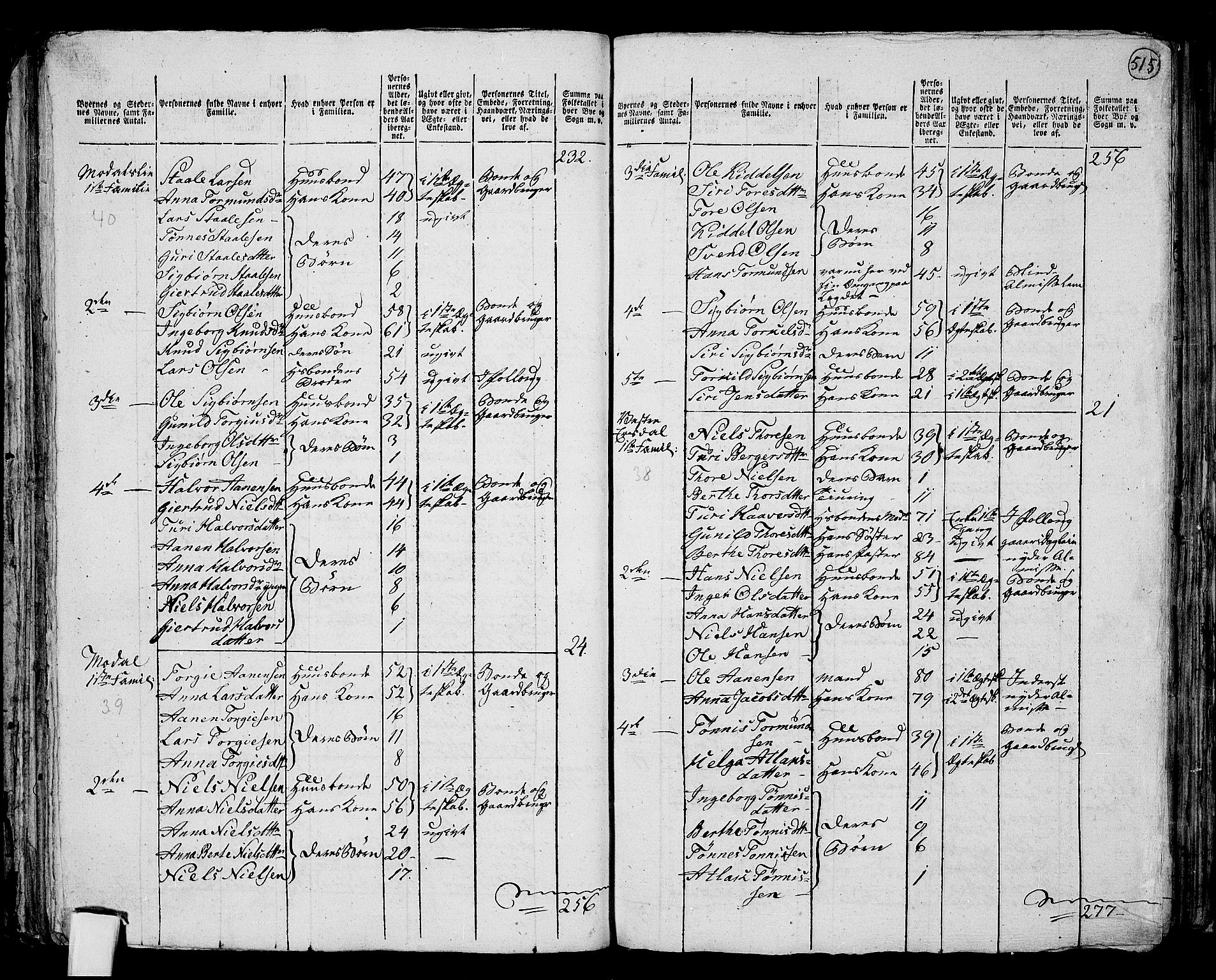 RA, 1801 census for 1045P Bakke, 1801, p. 514b-515a