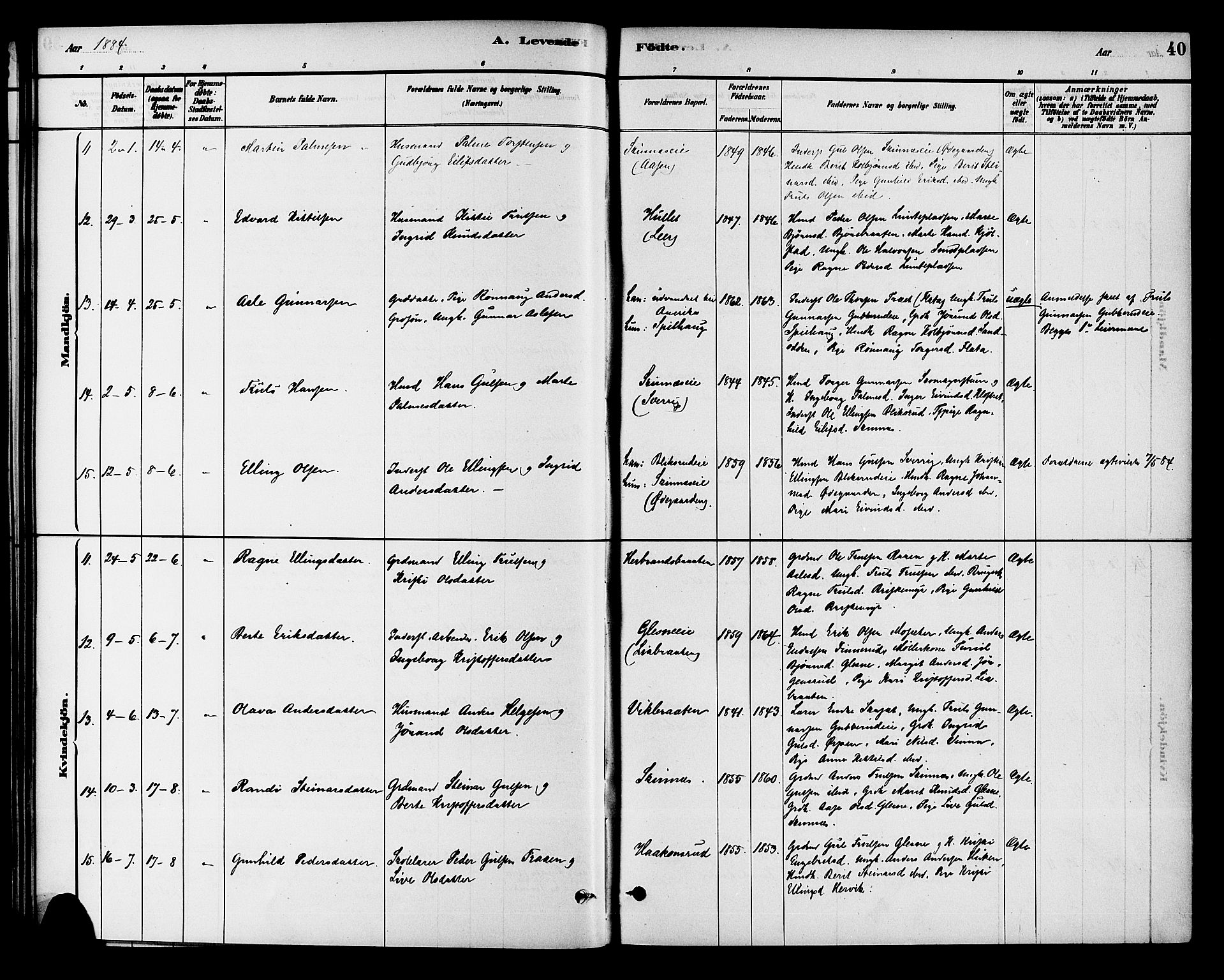 Krødsherad kirkebøker, AV/SAKO-A-19/G/Ga/L0001: Parish register (copy) no. 1, 1879-1893, p. 40