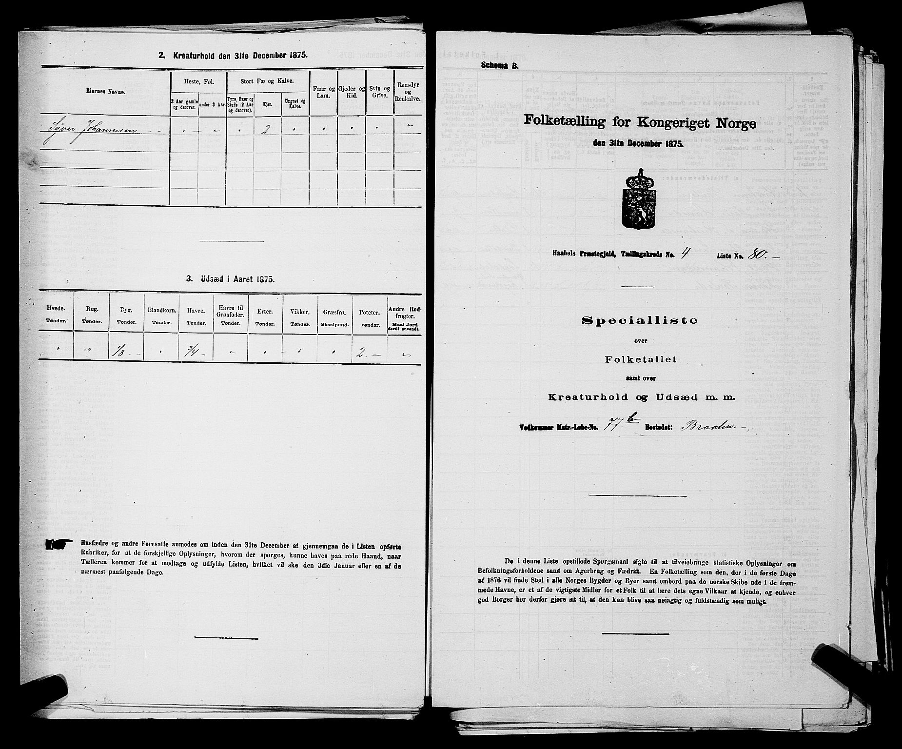 RA, 1875 census for 0138P Hobøl, 1875, p. 736