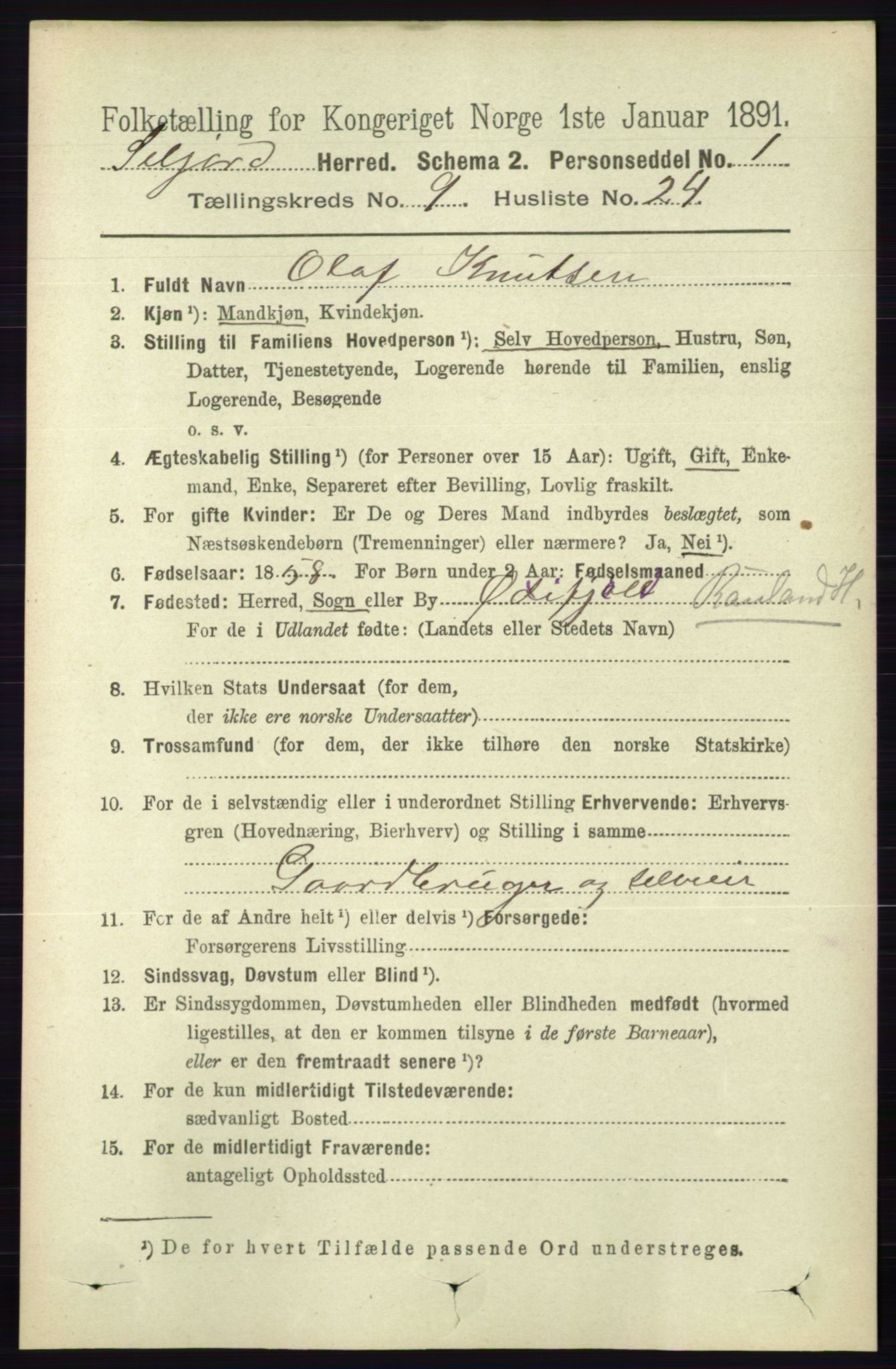 RA, 1891 census for 0828 Seljord, 1891, p. 3304