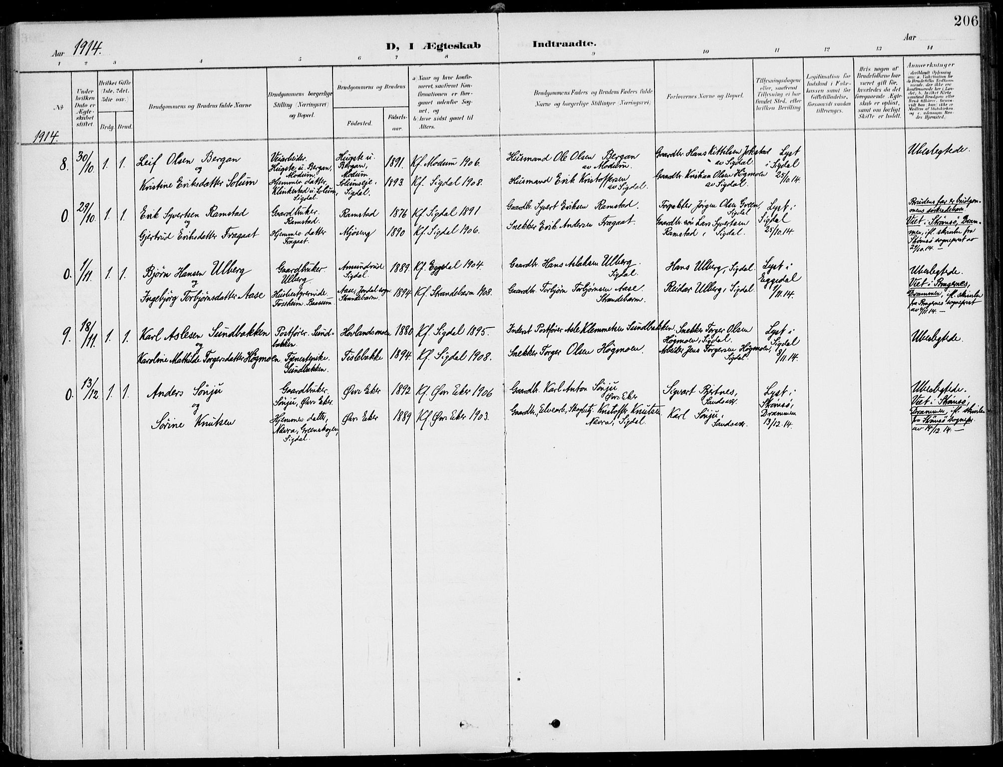 Sigdal kirkebøker, AV/SAKO-A-245/F/Fb/L0002: Parish register (official) no. II 2, 1901-1914, p. 206