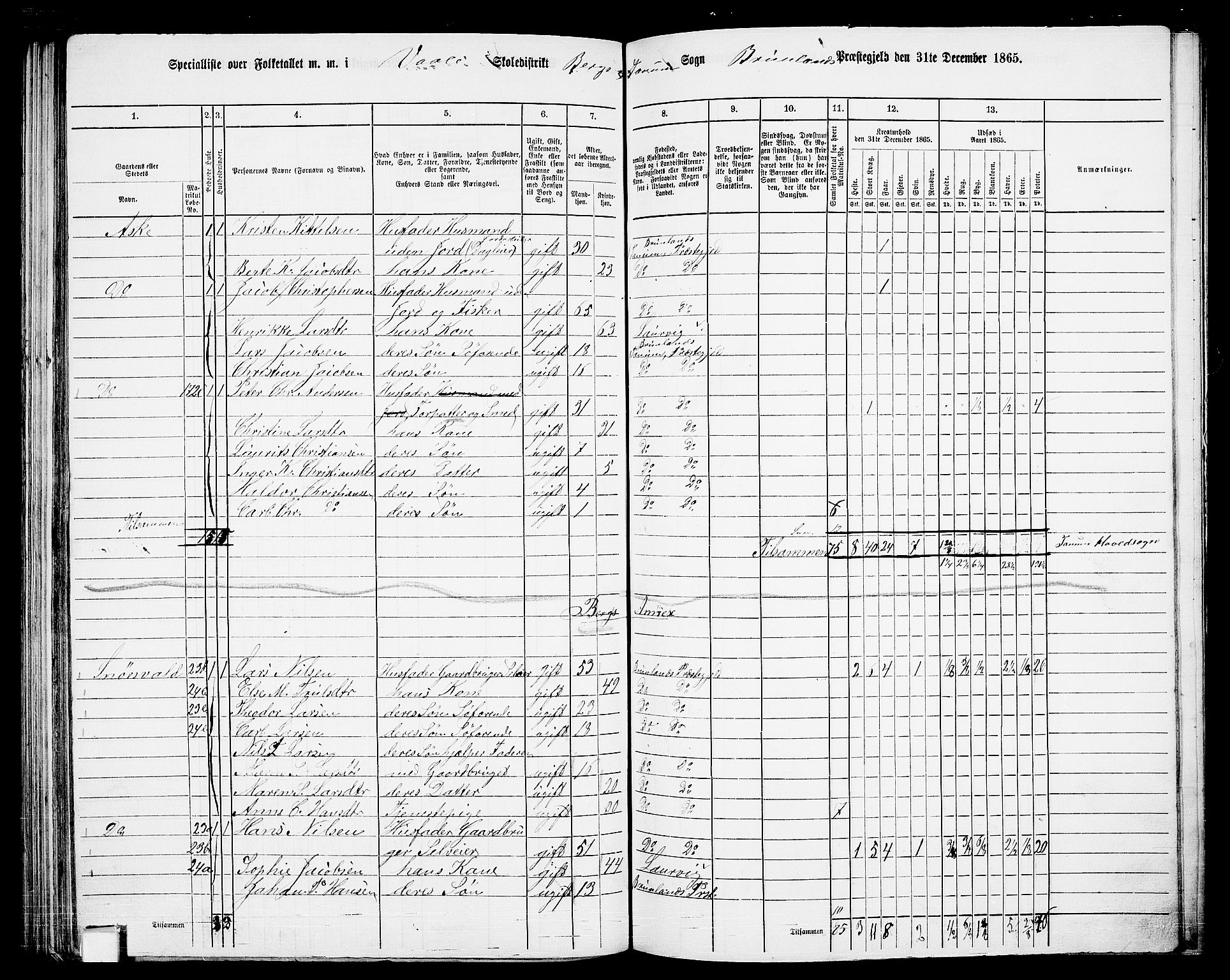 RA, 1865 census for Brunlanes, 1865, p. 118