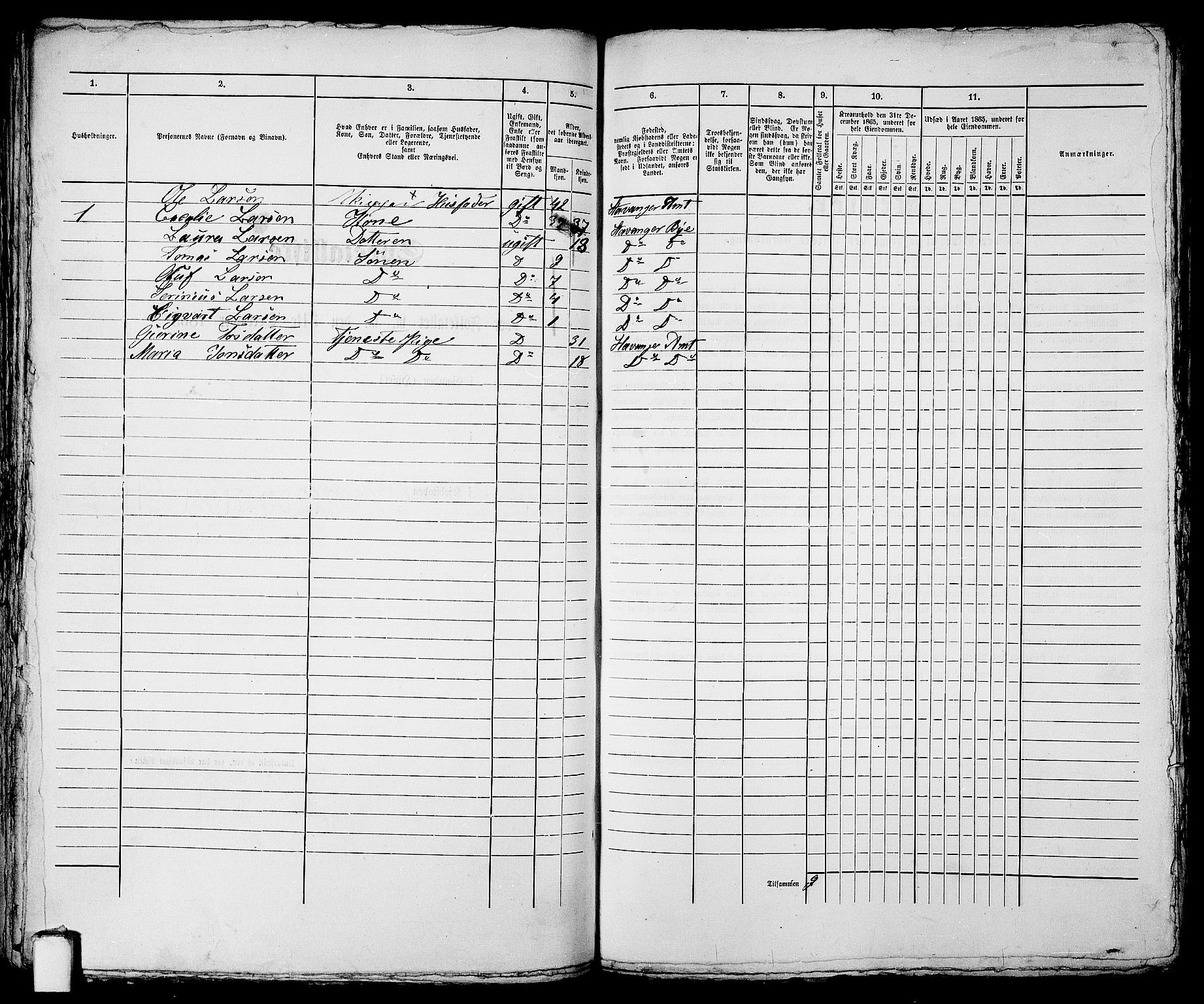 RA, 1865 census for Stavanger, 1865, p. 696