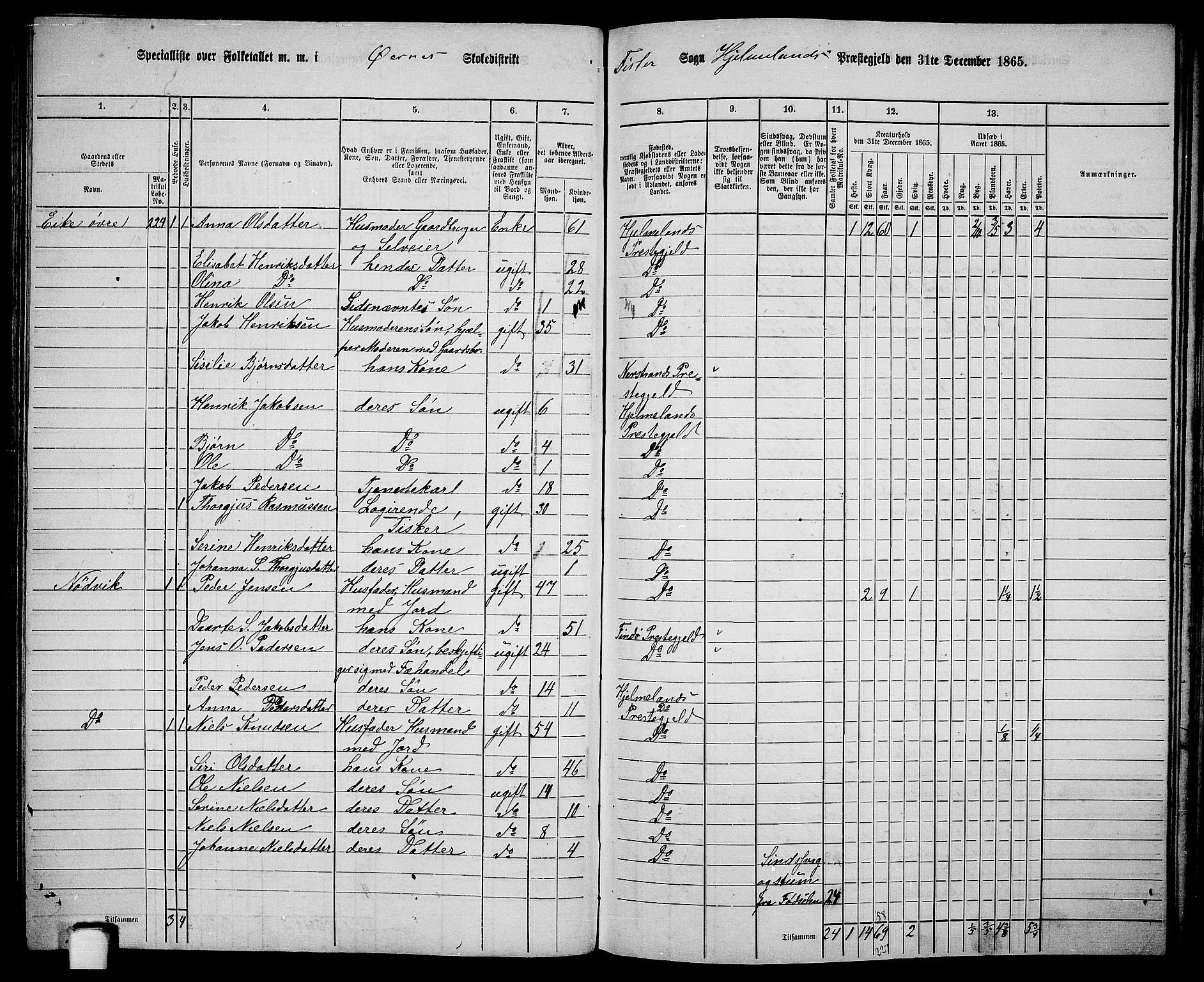 RA, 1865 census for Hjelmeland, 1865, p. 133