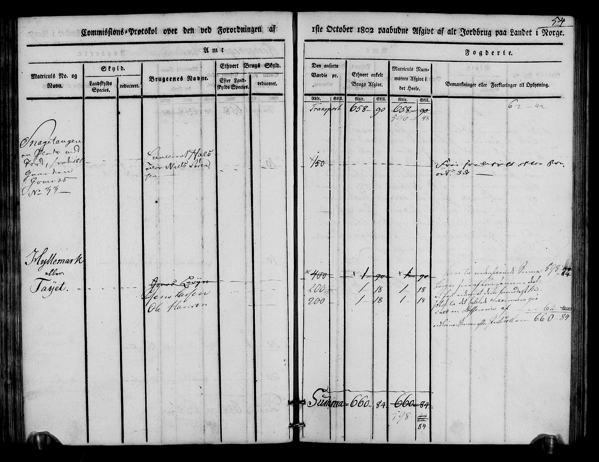 Rentekammeret inntil 1814, Realistisk ordnet avdeling, AV/RA-EA-4070/N/Ne/Nea/L0046: Ringerike og Hallingdal fogderi. Kommisjonsprotokoll for Hole prestegjeld, 1803, p. 55