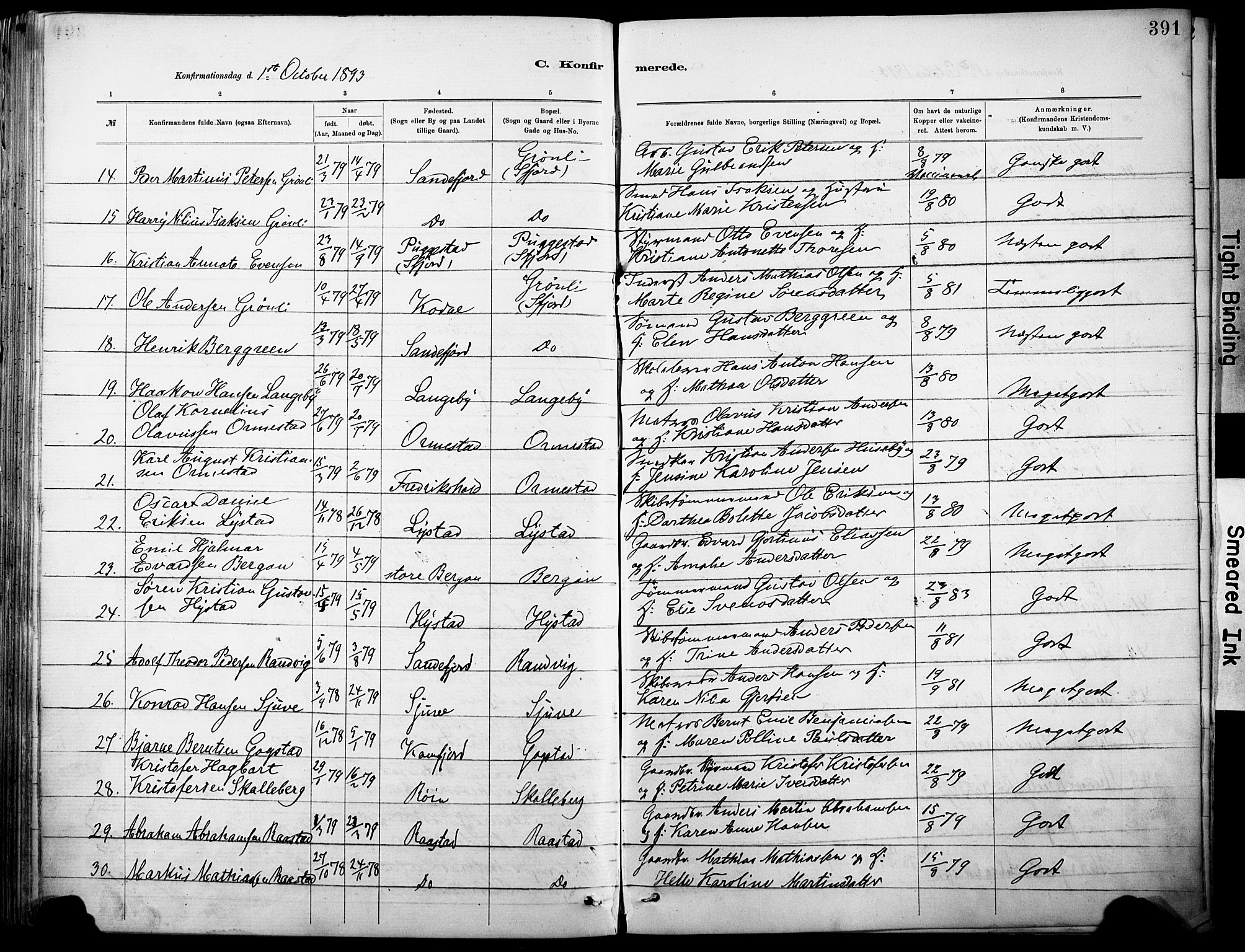 Sandar kirkebøker, AV/SAKO-A-243/F/Fa/L0012: Parish register (official) no. 12, 1883-1895, p. 391