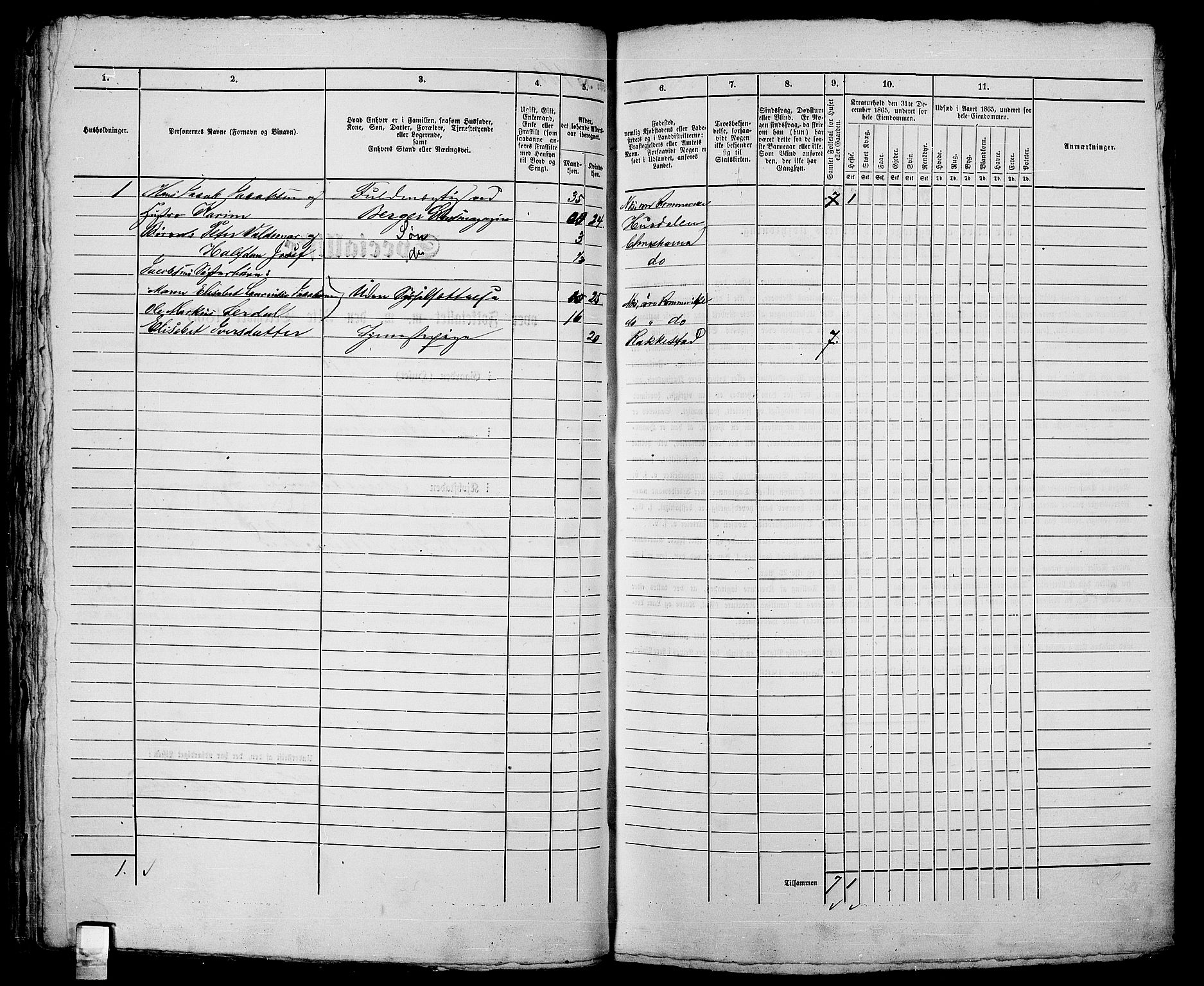 RA, 1865 census for Kristiania, 1865, p. 1257