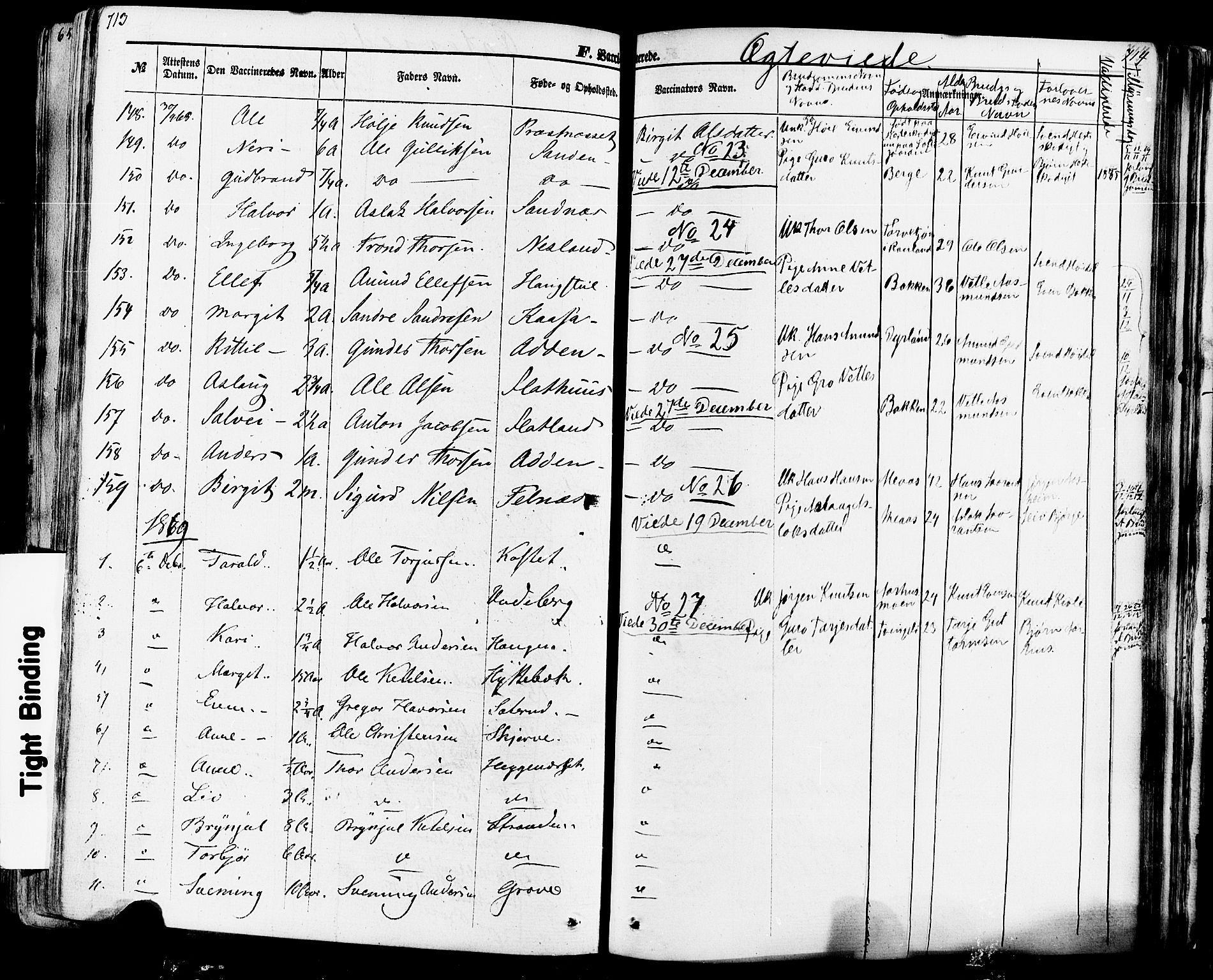 Seljord kirkebøker, SAKO/A-20/F/Fa/L0013: Parish register (official) no. I 13, 1866-1876, p. 713-714