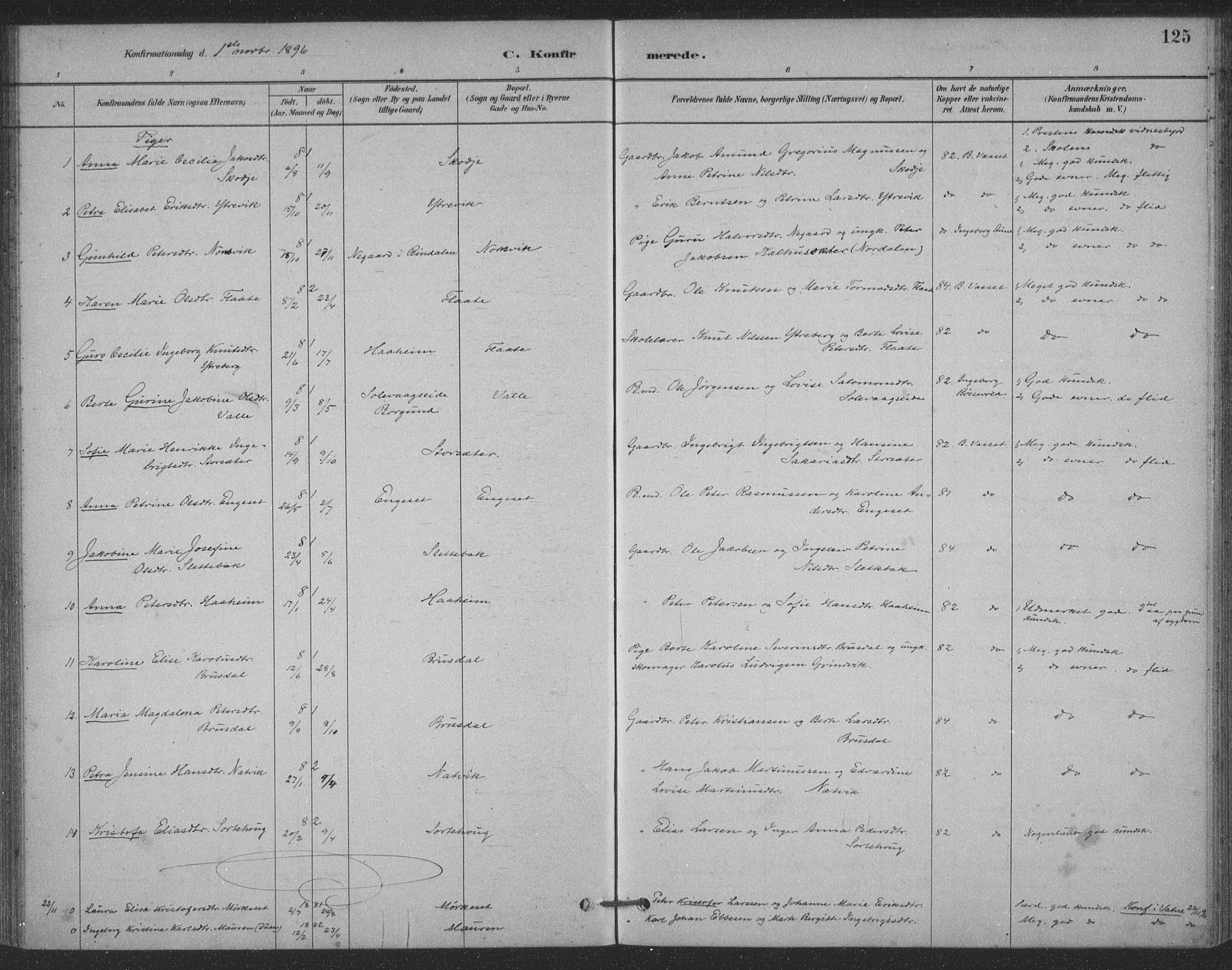 Ministerialprotokoller, klokkerbøker og fødselsregistre - Møre og Romsdal, AV/SAT-A-1454/524/L0356: Parish register (official) no. 524A08, 1880-1899, p. 125