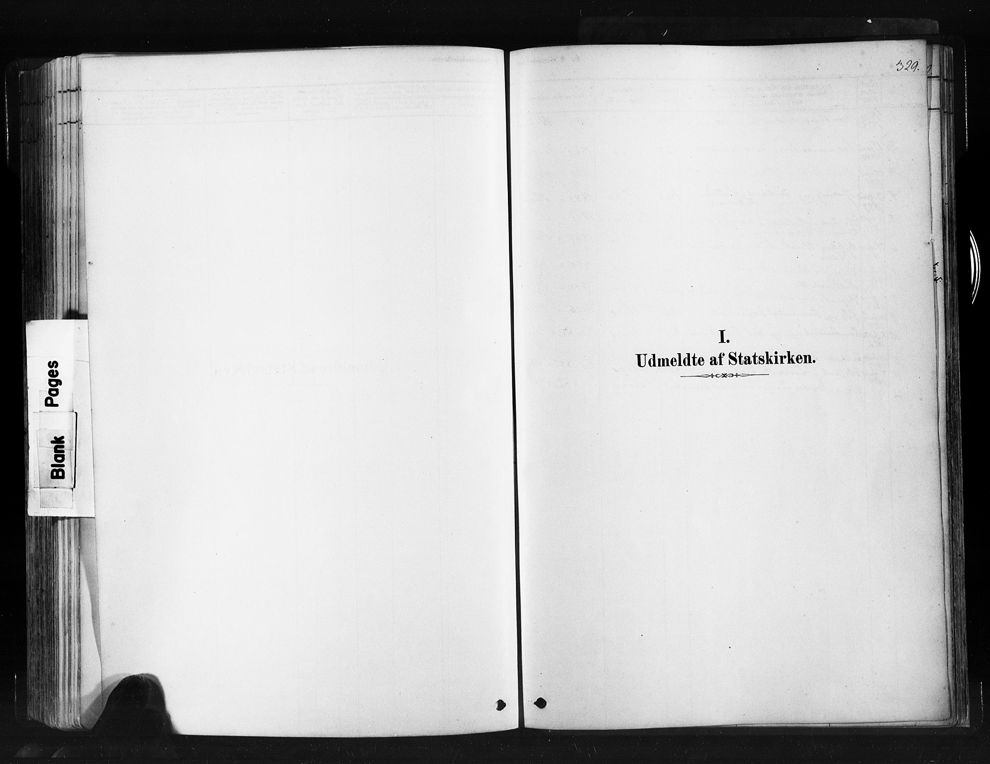 Ministerialprotokoller, klokkerbøker og fødselsregistre - Møre og Romsdal, SAT/A-1454/507/L0073: Parish register (official) no. 507A08, 1878-1904, p. 329