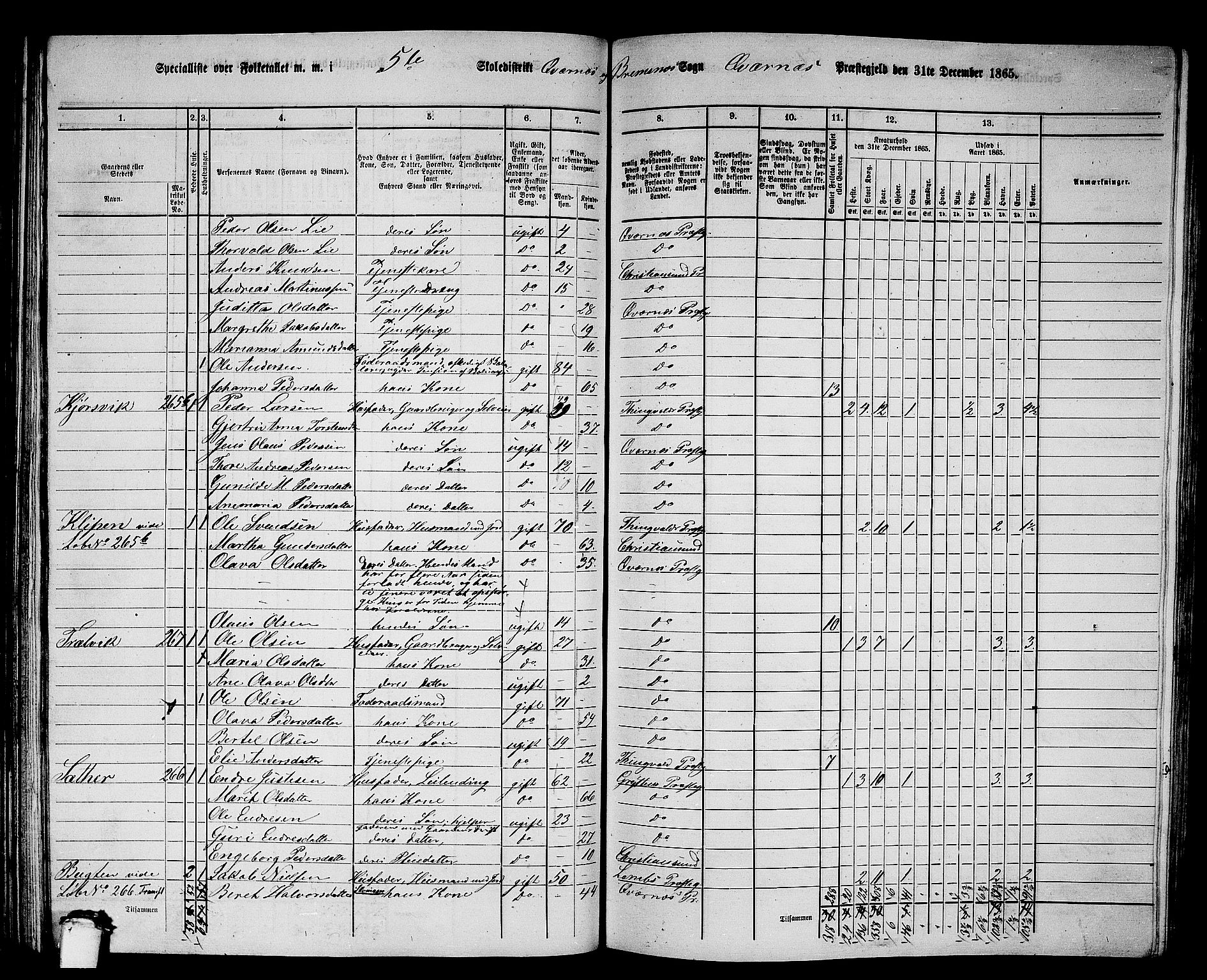 RA, 1865 census for Kvernes, 1865, p. 99