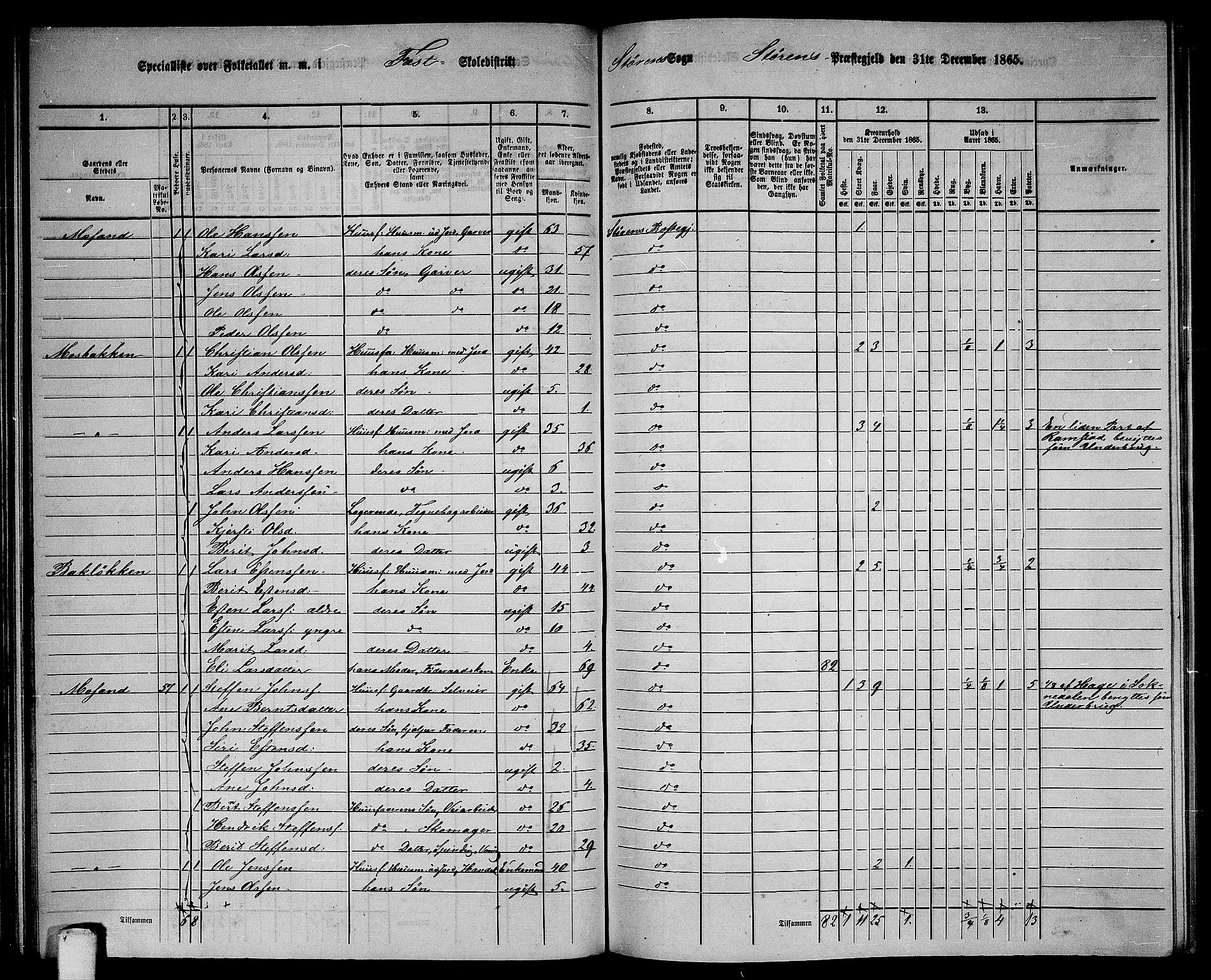 RA, 1865 census for Støren, 1865, p. 92