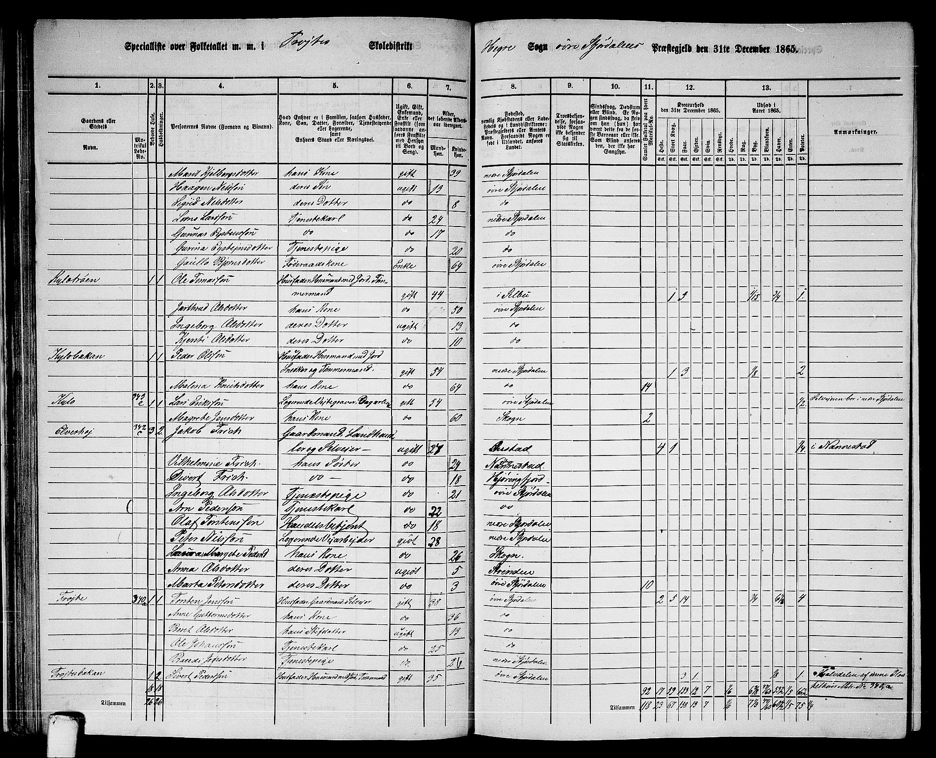 RA, 1865 census for Øvre Stjørdal, 1865, p. 47