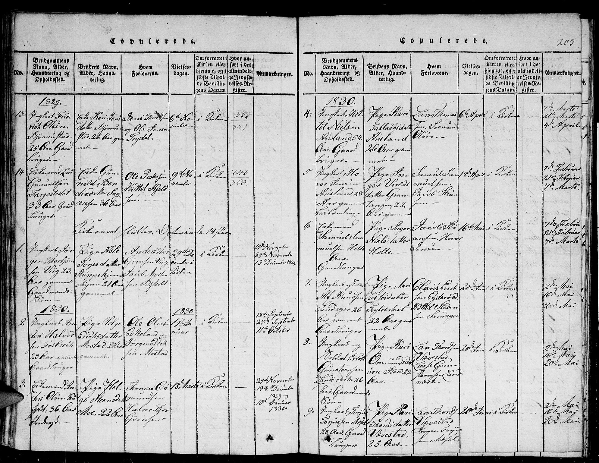 Gjerstad sokneprestkontor, AV/SAK-1111-0014/F/Fb/Fba/L0002: Parish register (copy) no. B 2, 1816-1845, p. 203