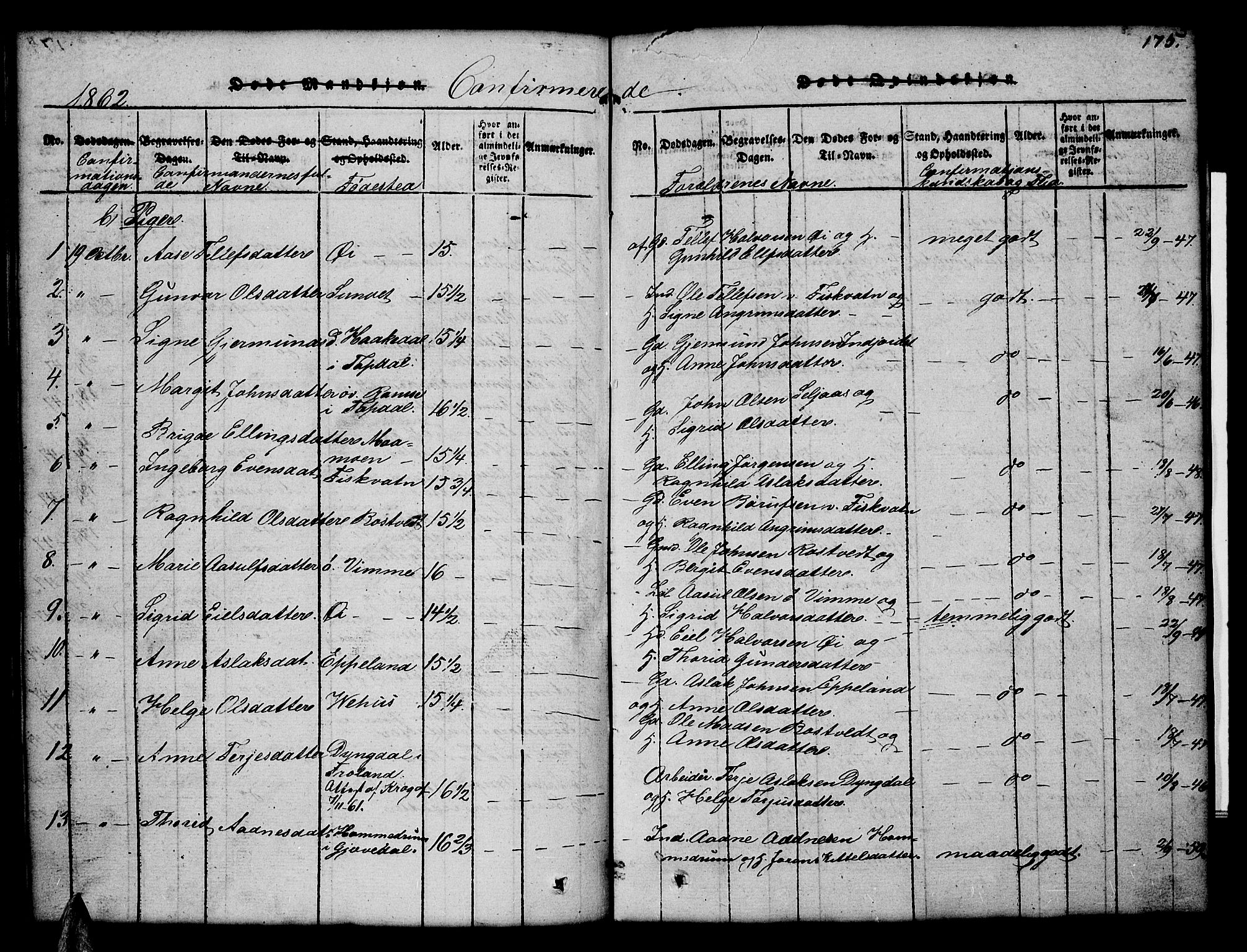 Åmli sokneprestkontor, AV/SAK-1111-0050/F/Fb/Fbc/L0001: Parish register (copy) no. B 1, 1816-1867, p. 175