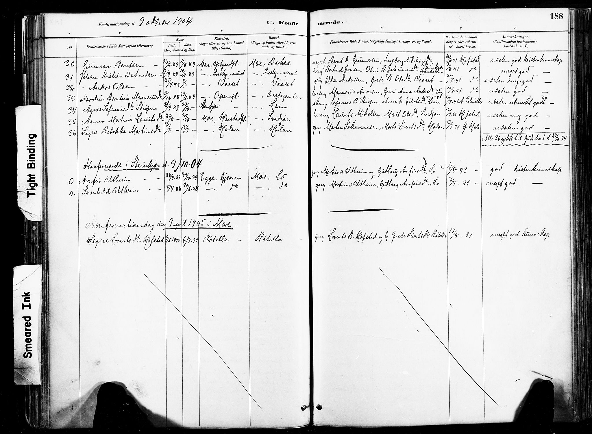 Ministerialprotokoller, klokkerbøker og fødselsregistre - Nord-Trøndelag, SAT/A-1458/735/L0351: Parish register (official) no. 735A10, 1884-1908, p. 188