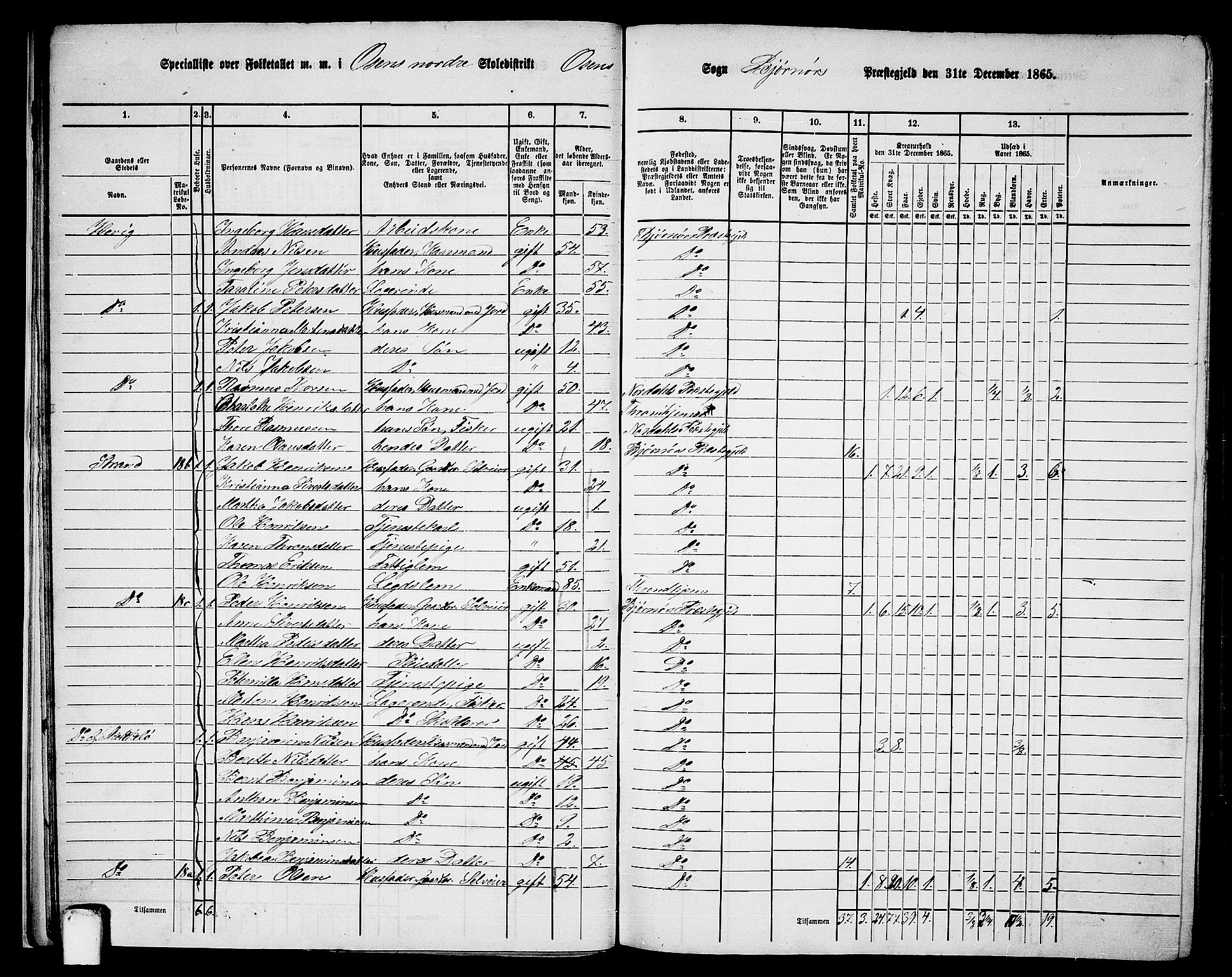 RA, 1865 census for Bjørnør, 1865, p. 20