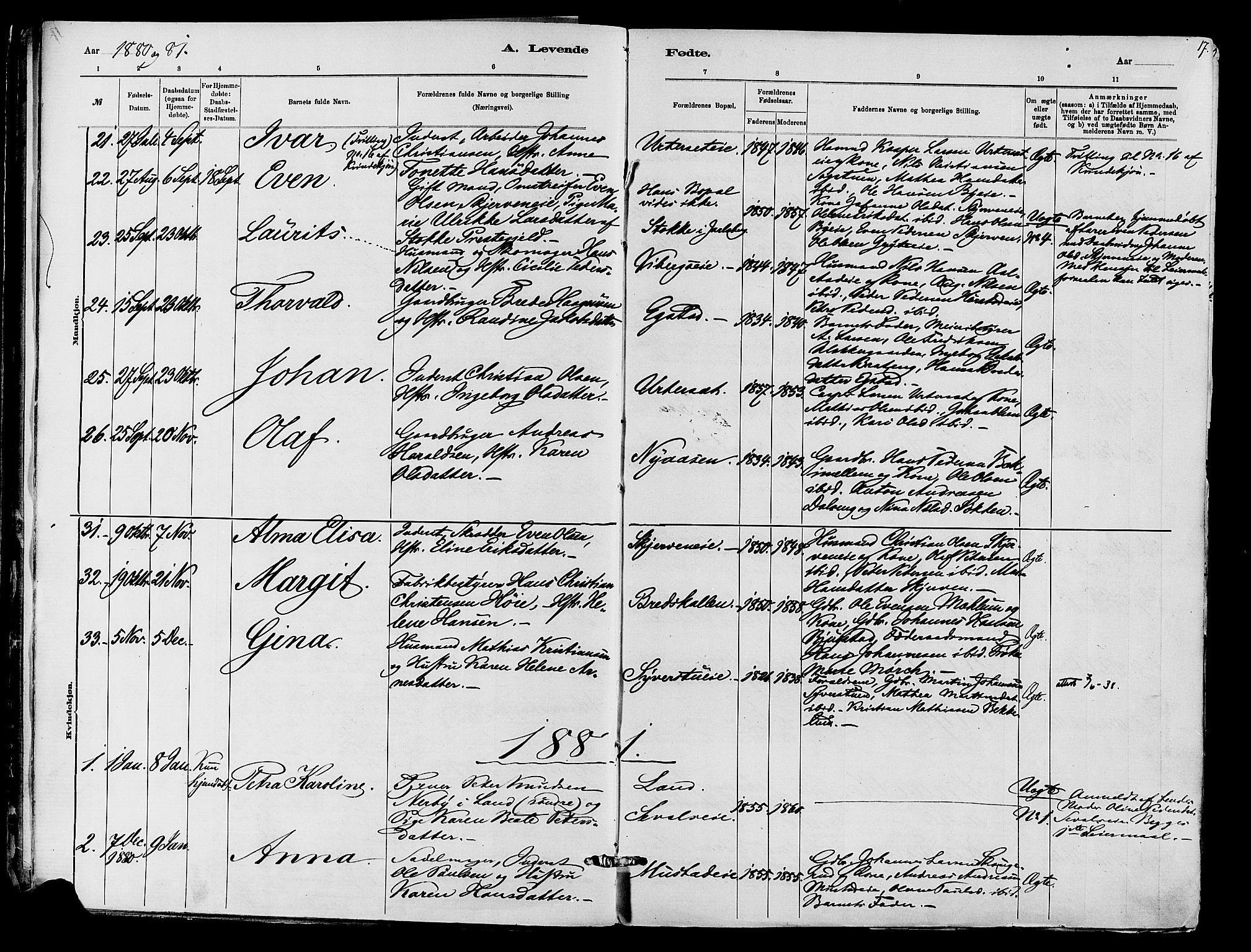 Vardal prestekontor, SAH/PREST-100/H/Ha/Haa/L0010: Parish register (official) no. 10, 1878-1893, p. 17