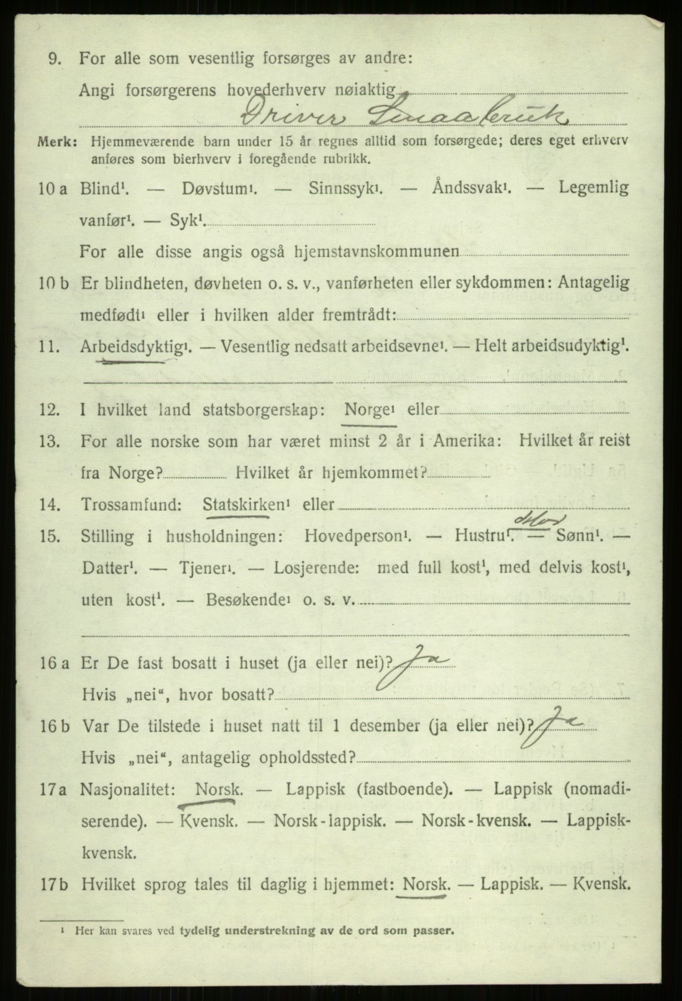 SATØ, 1920 census for Ibestad, 1920, p. 13232