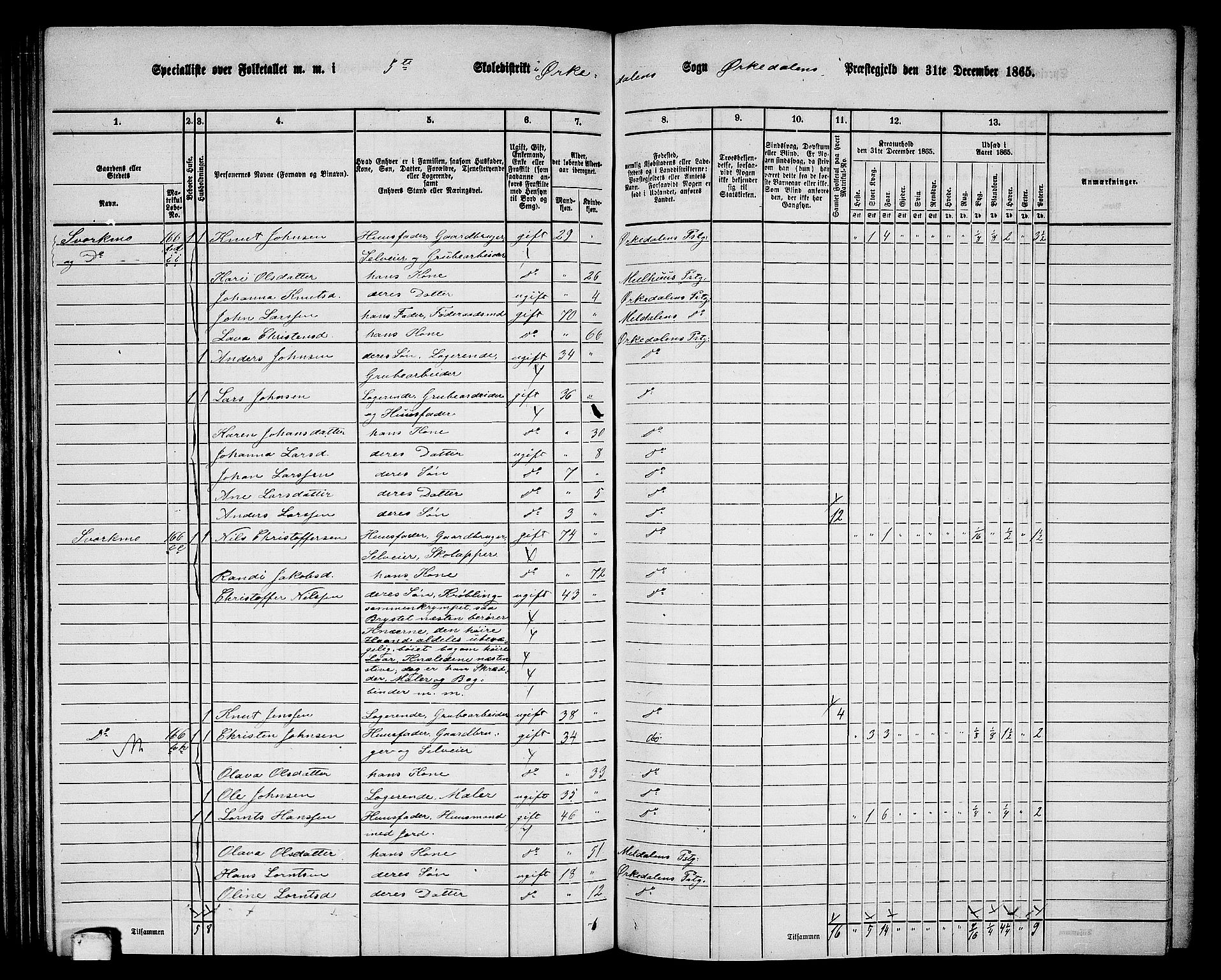 RA, 1865 census for Orkdal, 1865, p. 155