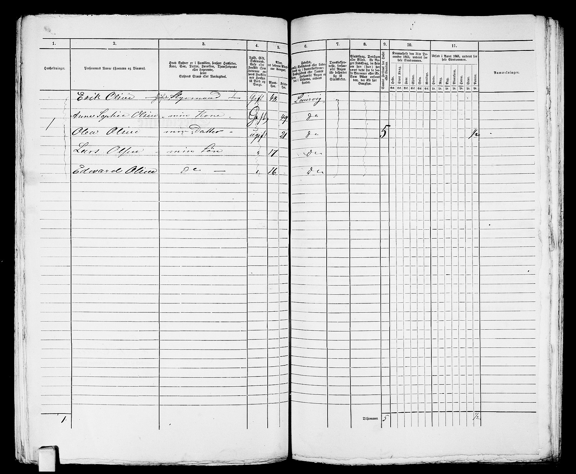 RA, 1865 census for Larvik, 1865, p. 917