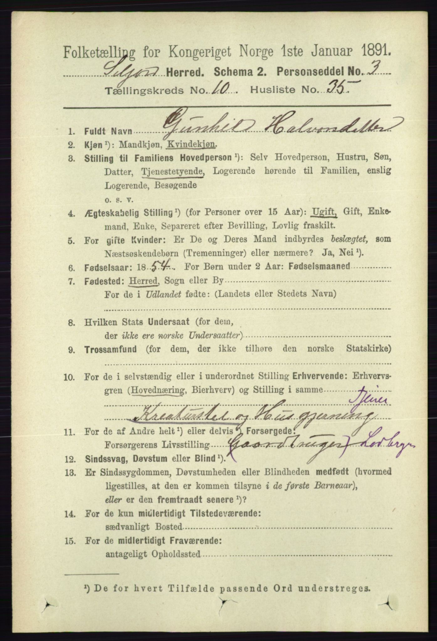 RA, 1891 census for 0828 Seljord, 1891, p. 3665