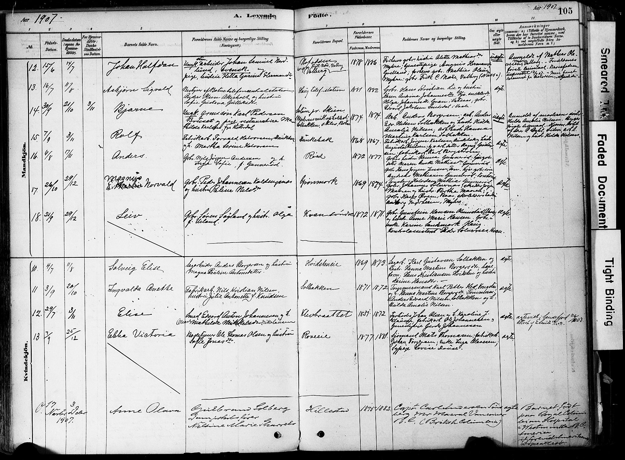 Botne kirkebøker, AV/SAKO-A-340/F/Fa/L0007: Parish register (official) no. I 7, 1878-1910, p. 105