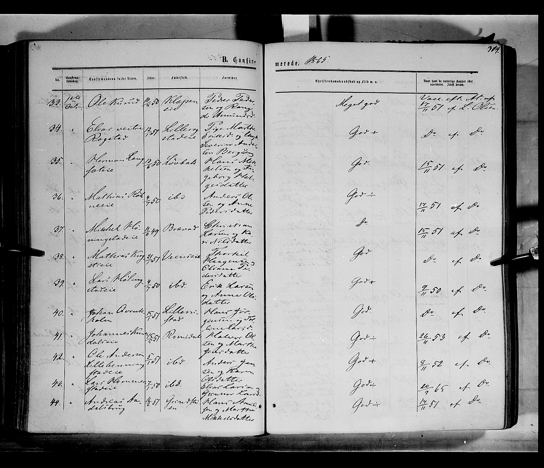 Løten prestekontor, AV/SAH-PREST-022/K/Ka/L0008: Parish register (official) no. 8, 1860-1877, p. 304