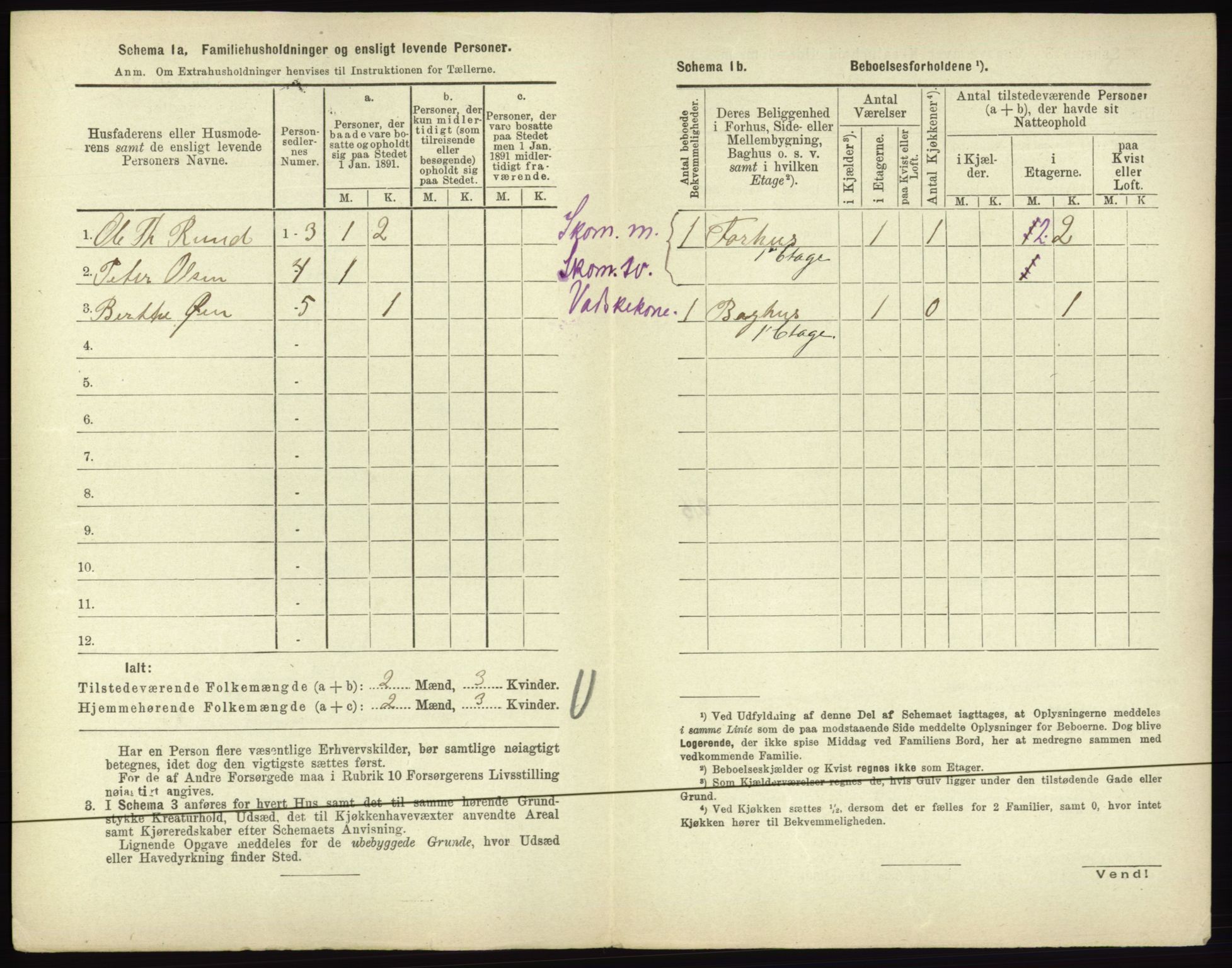 RA, 1891 census for 0601 Hønefoss, 1891, p. 250