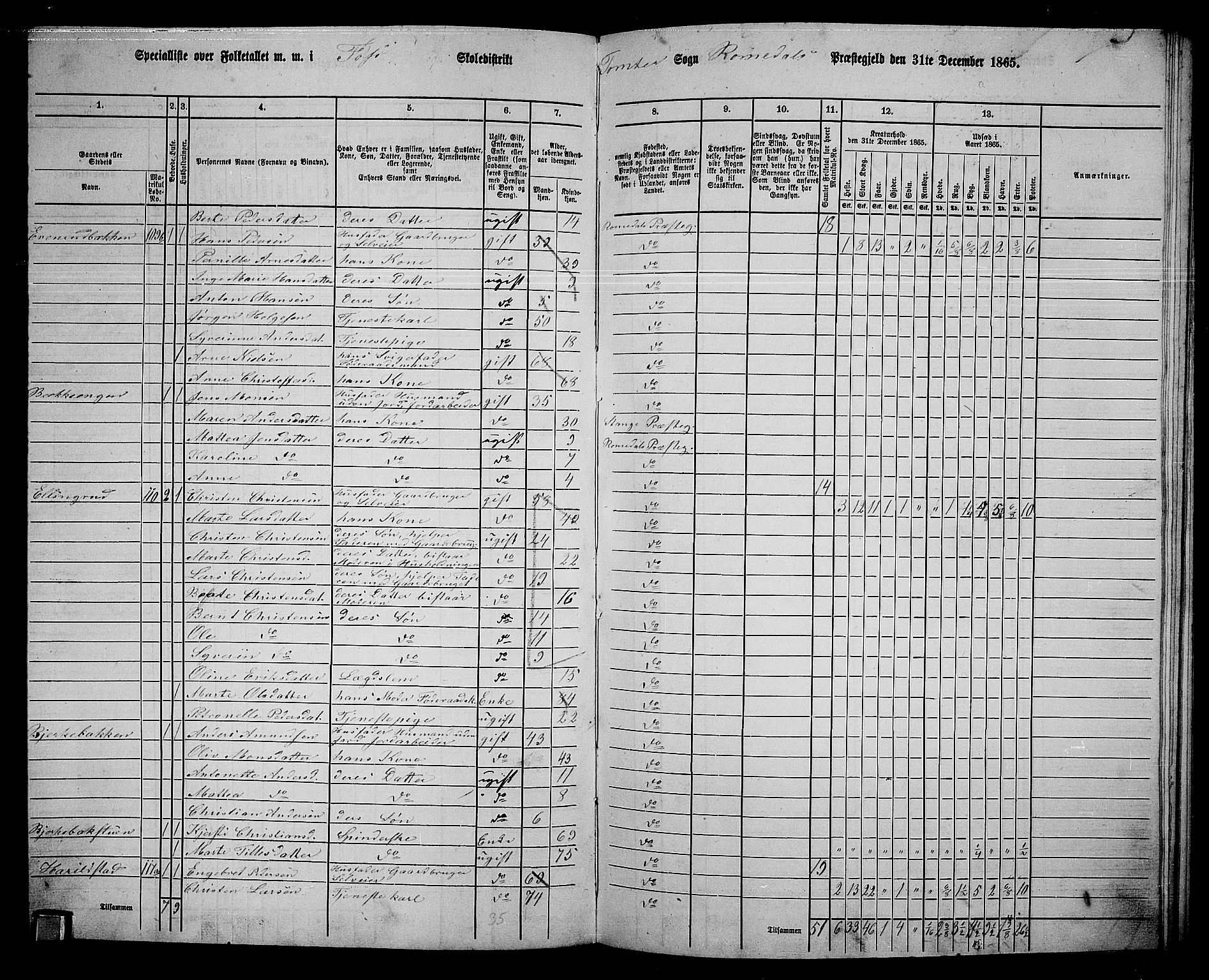 RA, 1865 census for Romedal, 1865, p. 170