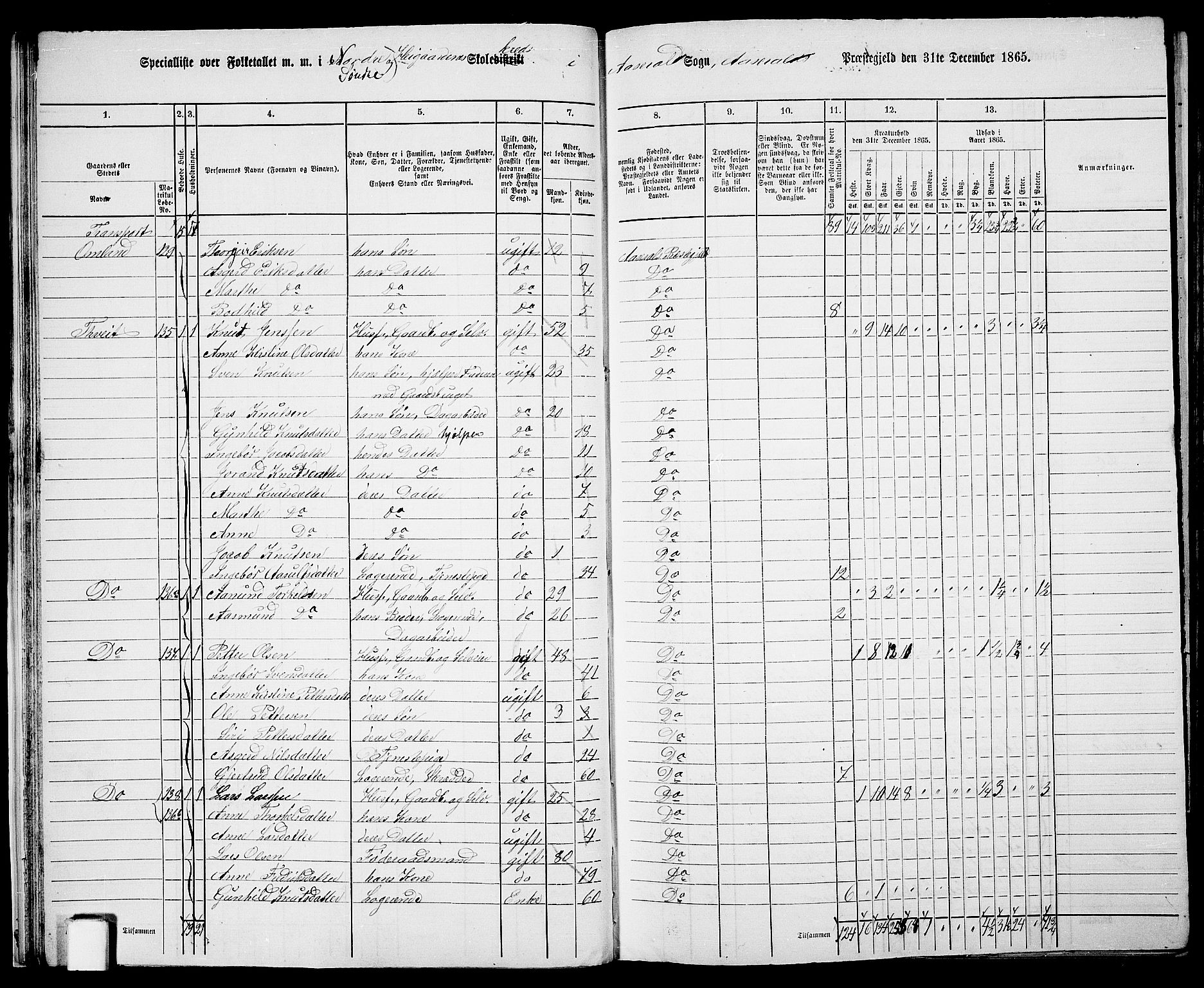 RA, 1865 census for Åseral, 1865, p. 26