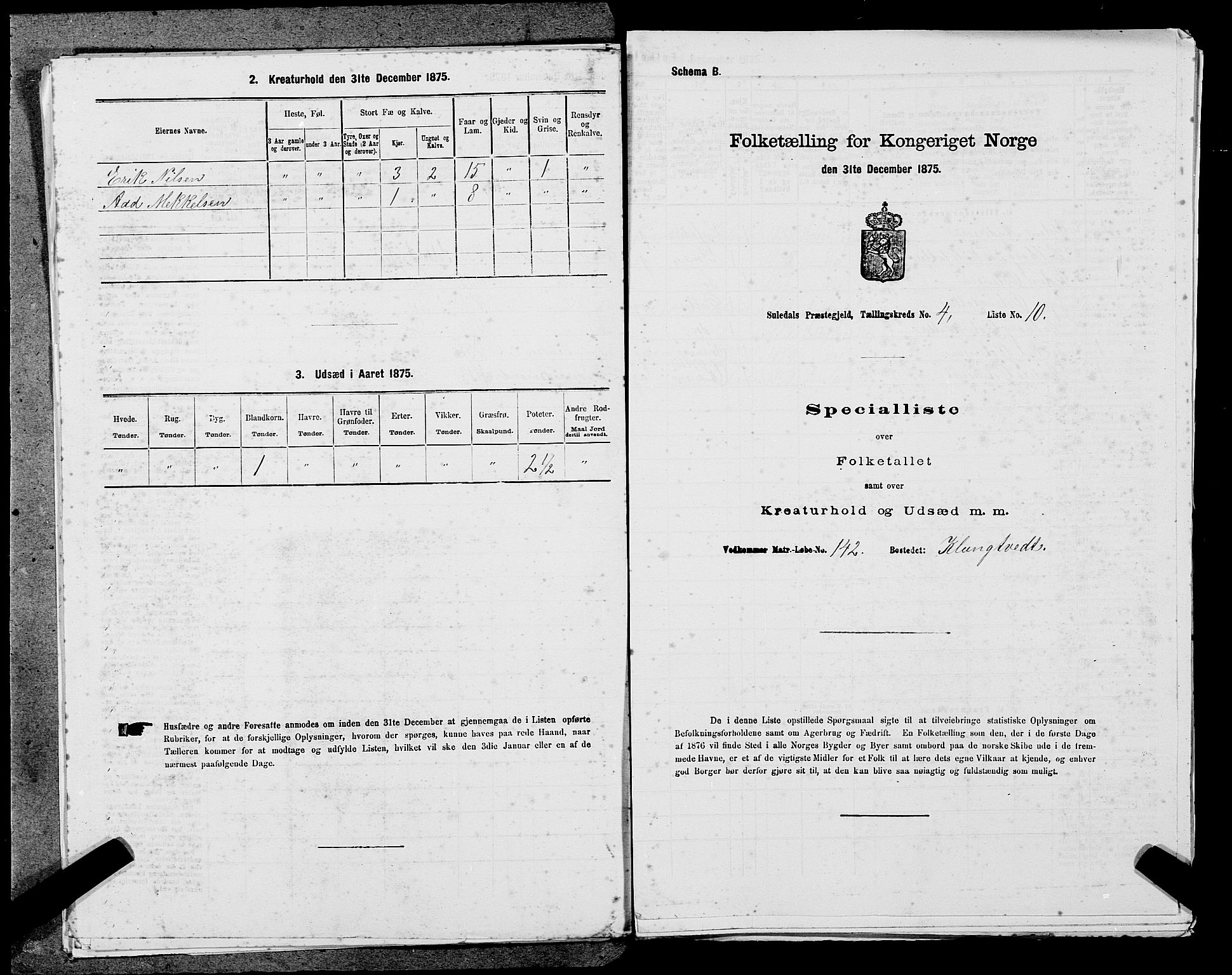 SAST, 1875 census for 1134P Suldal, 1875, p. 519