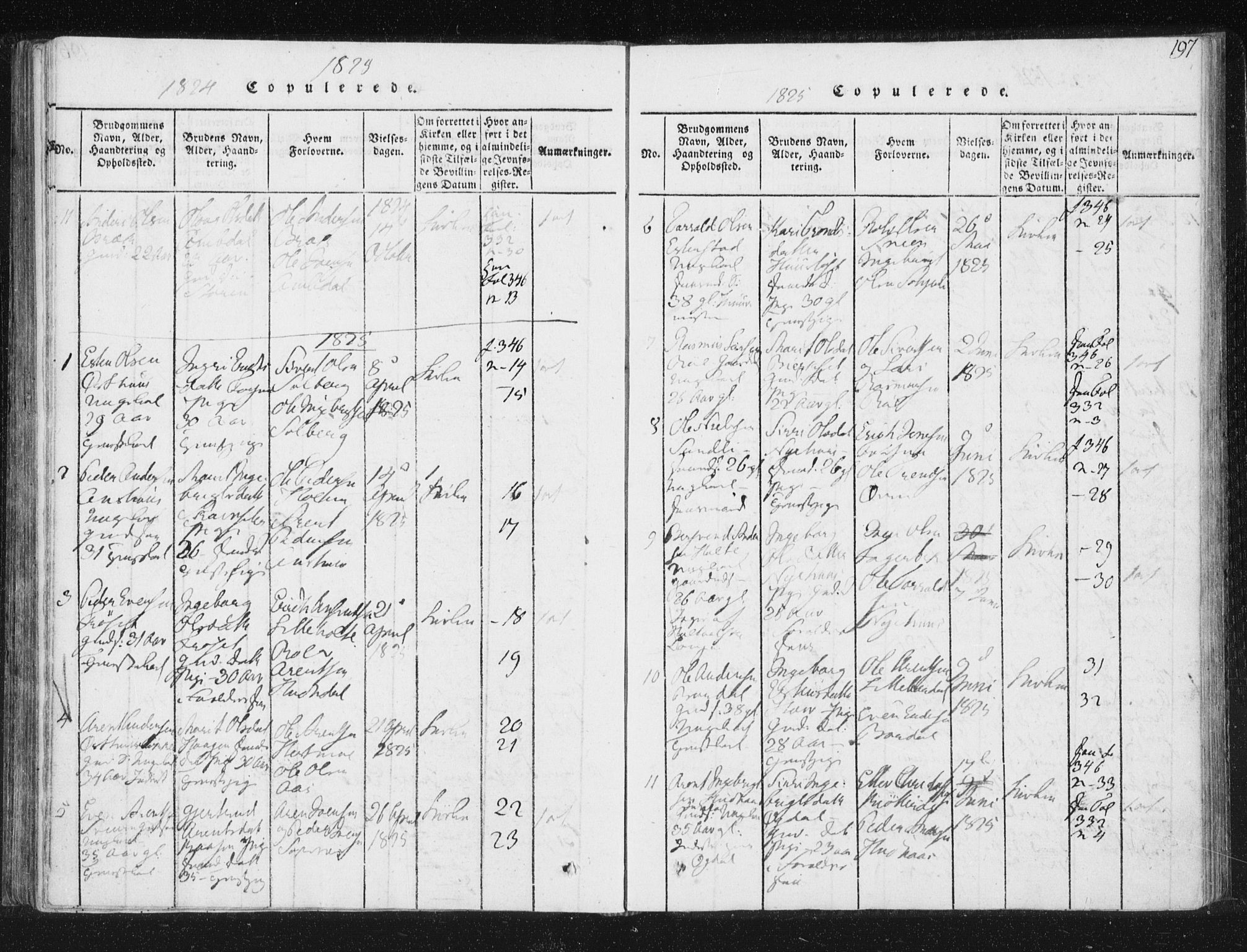 Ministerialprotokoller, klokkerbøker og fødselsregistre - Sør-Trøndelag, AV/SAT-A-1456/689/L1037: Parish register (official) no. 689A02, 1816-1842, p. 197