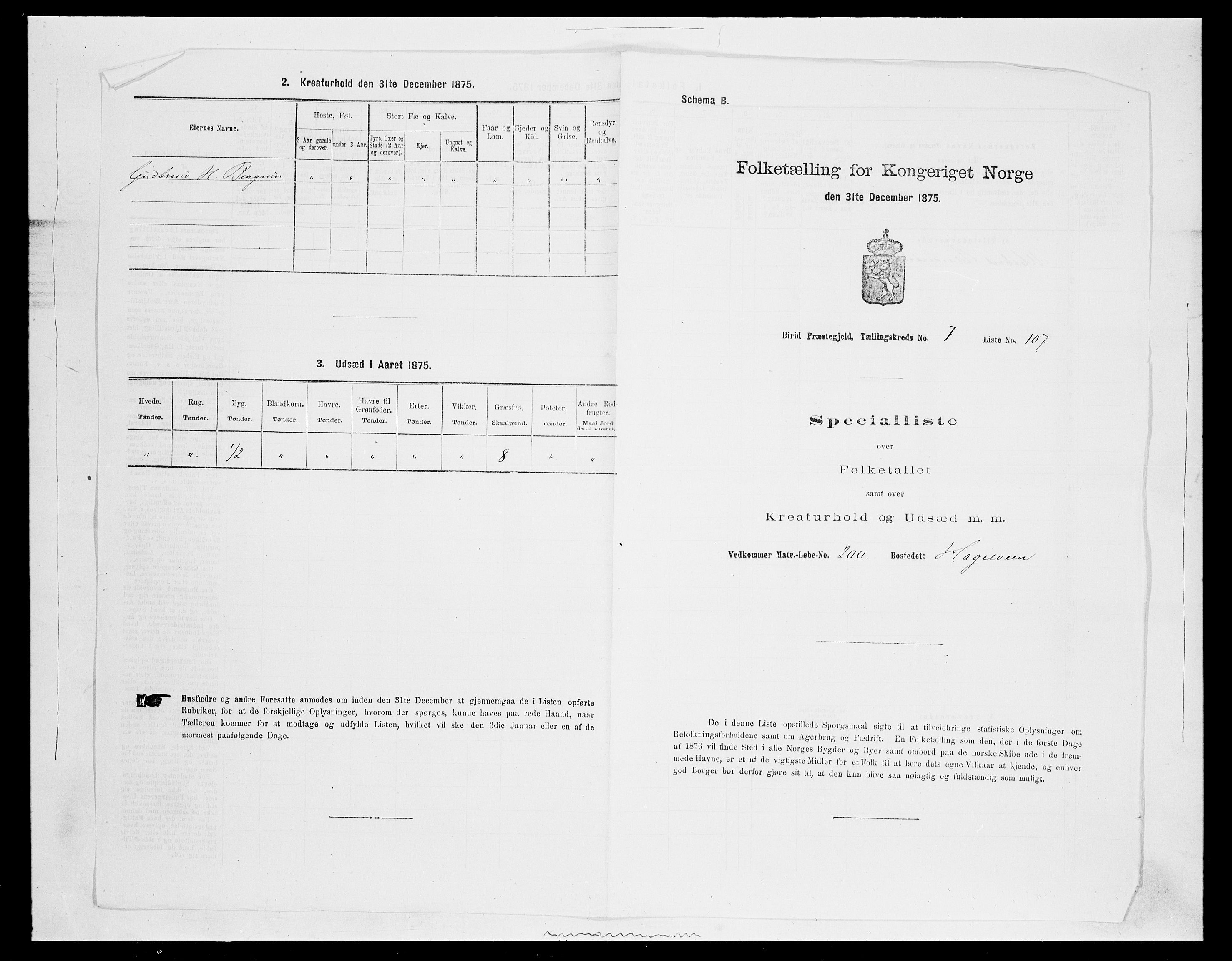 SAH, 1875 census for 0525P Biri, 1875, p. 1506