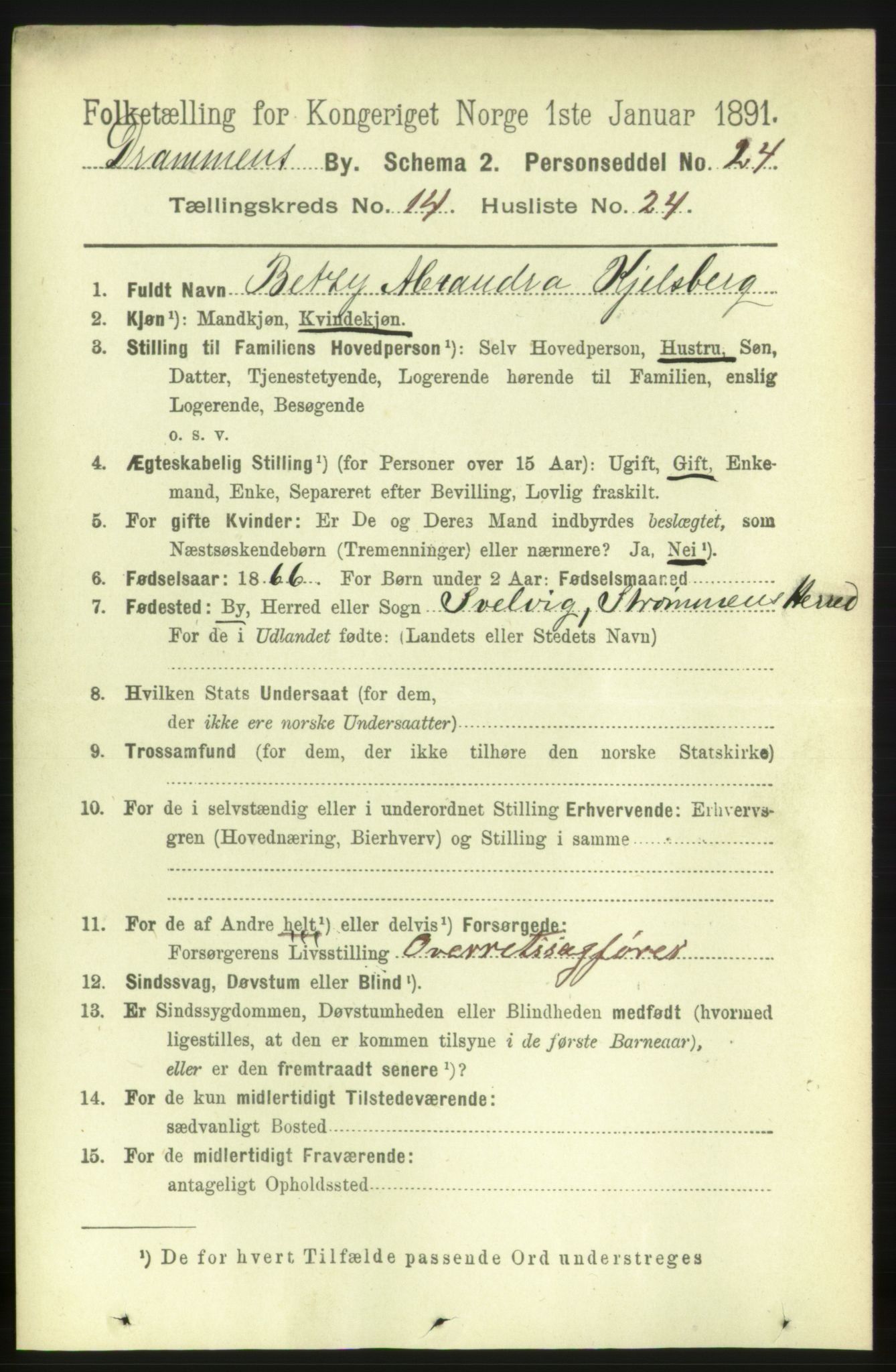 RA, 1891 census for 0602 Drammen, 1891, p. 10361