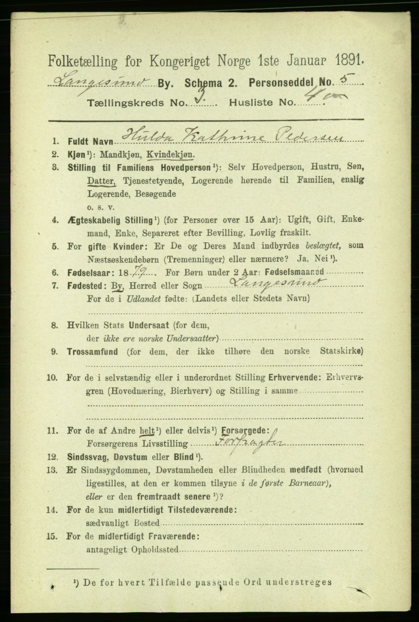 RA, 1891 census for 0802 Langesund, 1891, p. 1146