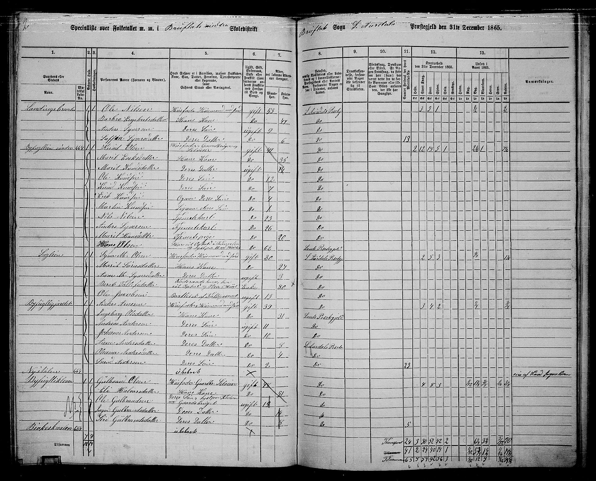 RA, 1865 census for Sør-Aurdal, 1865, p. 218