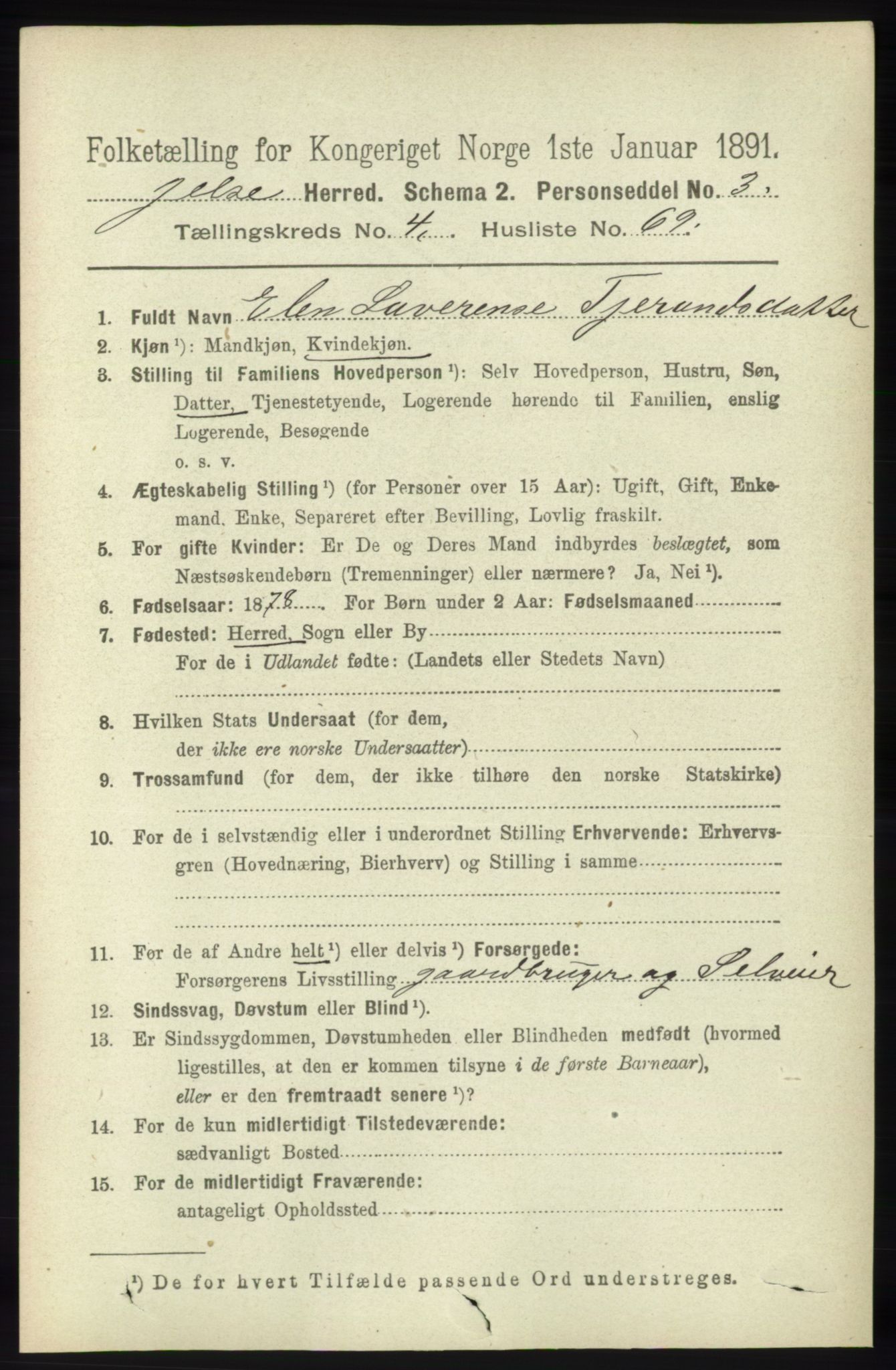 RA, 1891 census for 1138 Jelsa, 1891, p. 1035