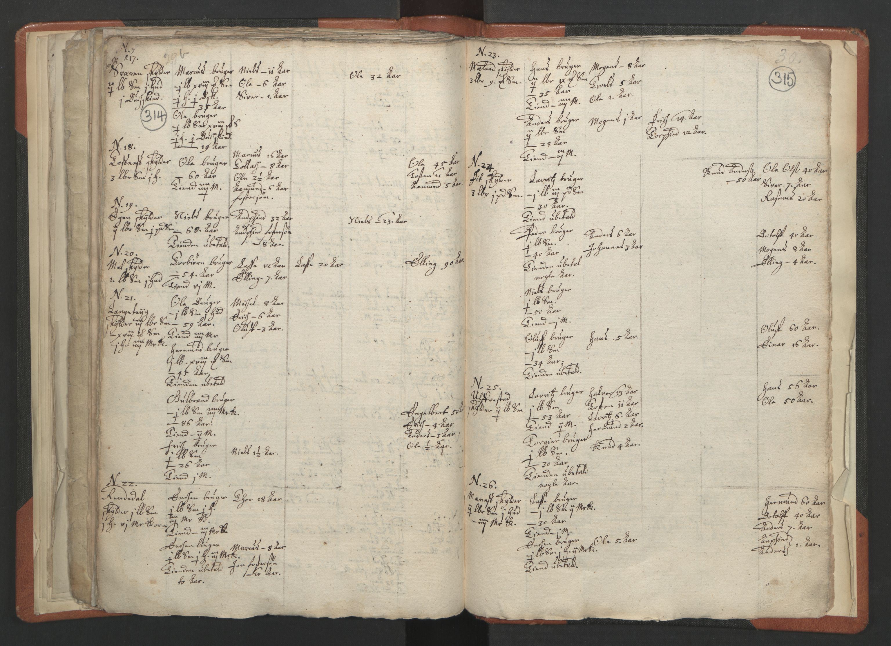 RA, Vicar's Census 1664-1666, no. 23: Sogn deanery, 1664-1666, p. 314-315