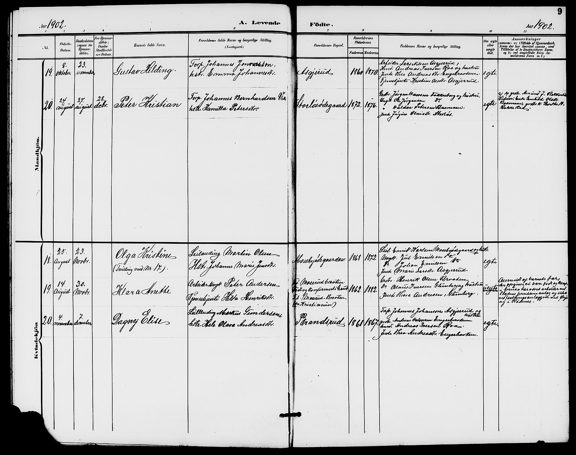 Rødenes prestekontor Kirkebøker, AV/SAO-A-2005/G/Ga/L0002: Parish register (copy) no. I 2, 1901-1910, p. 9