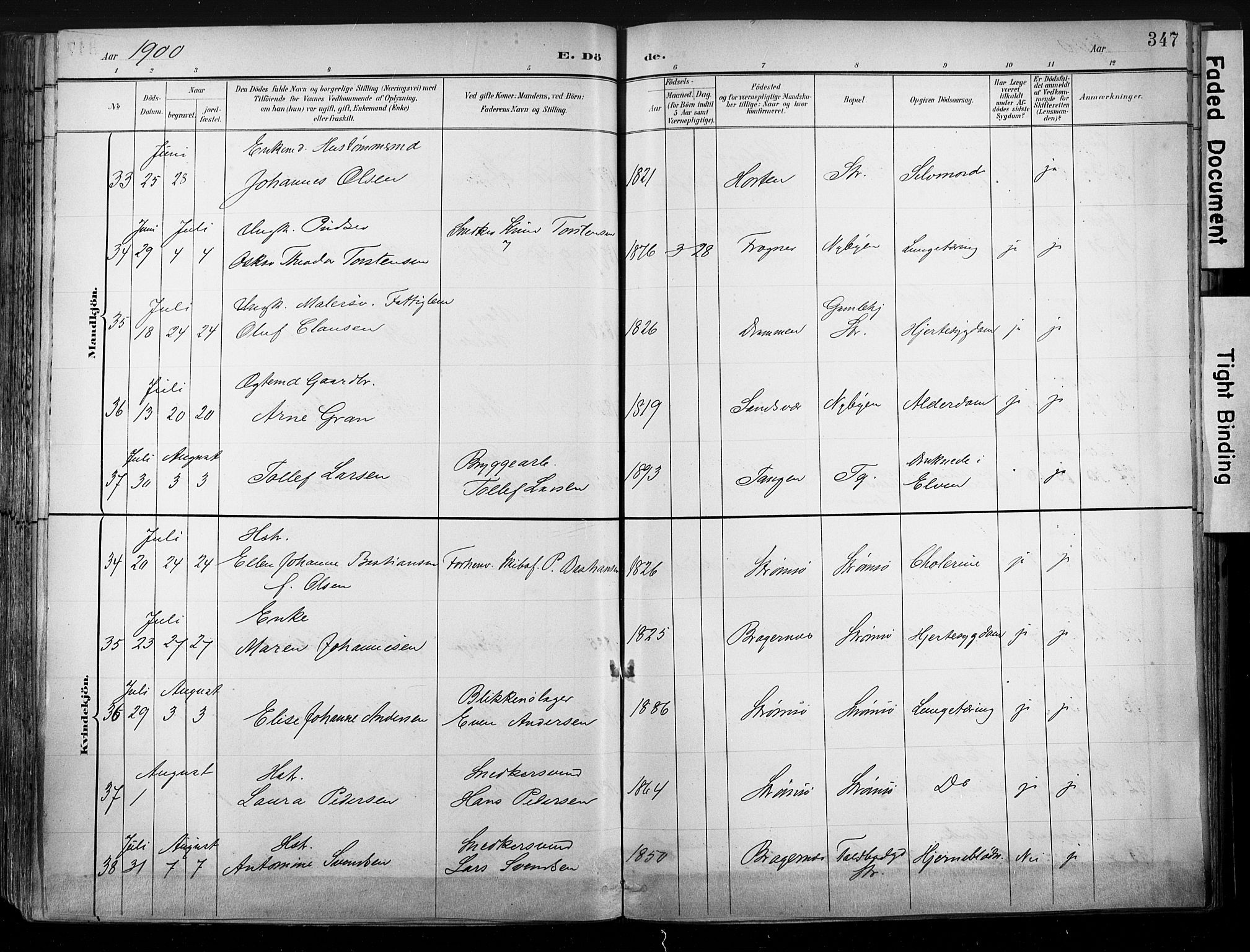 Strømsø kirkebøker, SAKO/A-246/G/Ga/L0003: Parish register (copy) no. 3, 1894-1904, p. 347