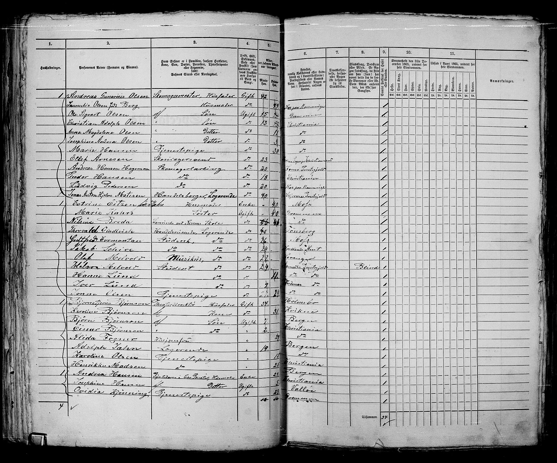 RA, 1865 census for Kristiania, 1865, p. 1828