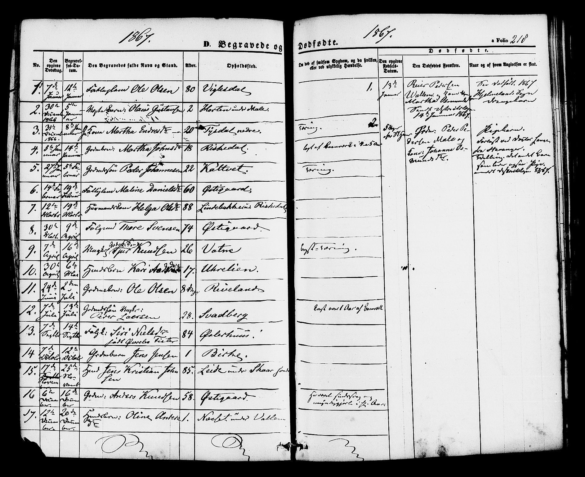 Hjelmeland sokneprestkontor, AV/SAST-A-101843/01/IV/L0012: Parish register (official) no. A 12, 1862-1886, p. 218