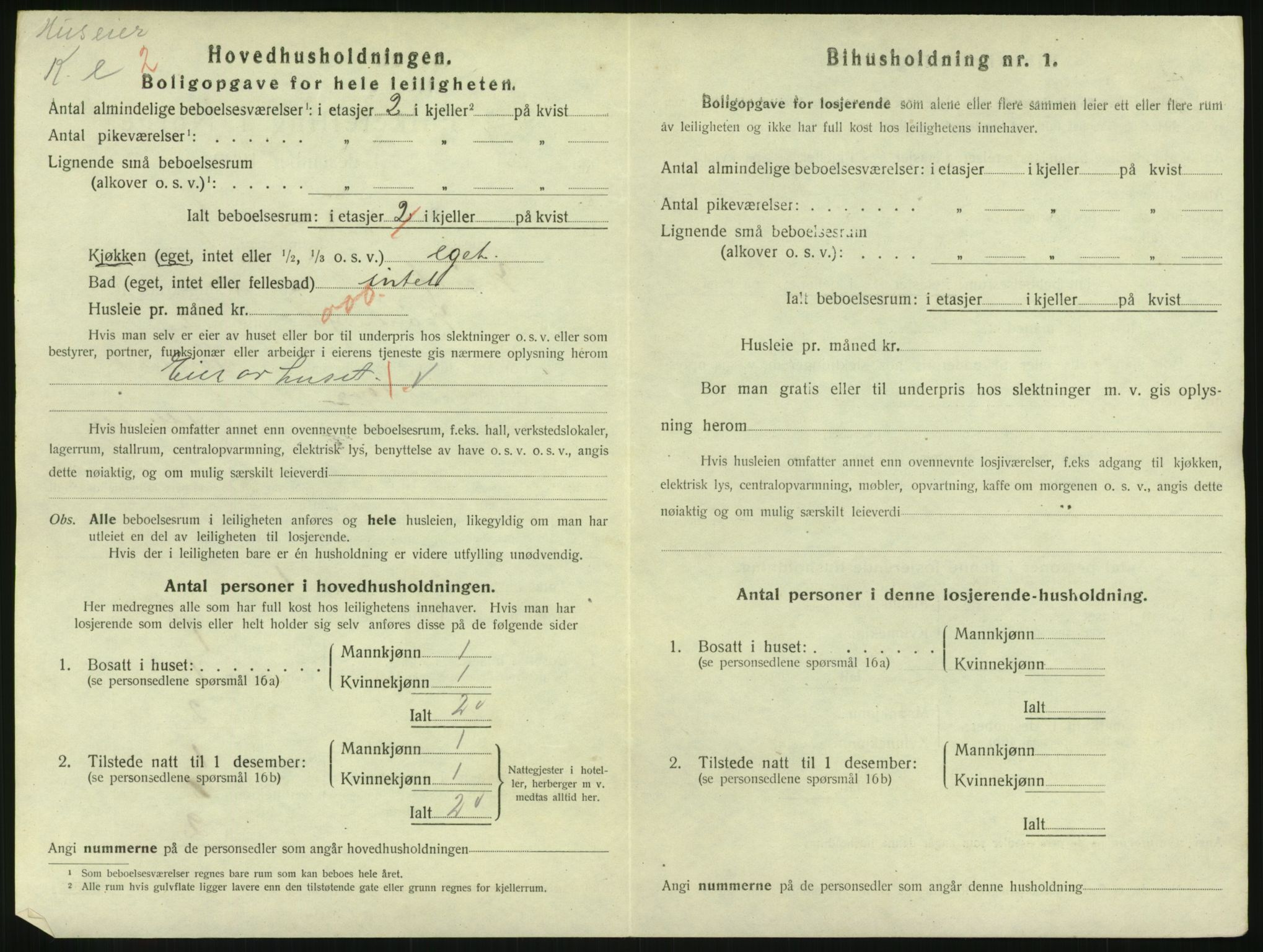 SAKO, 1920 census for Hønefoss, 1920, p. 1161