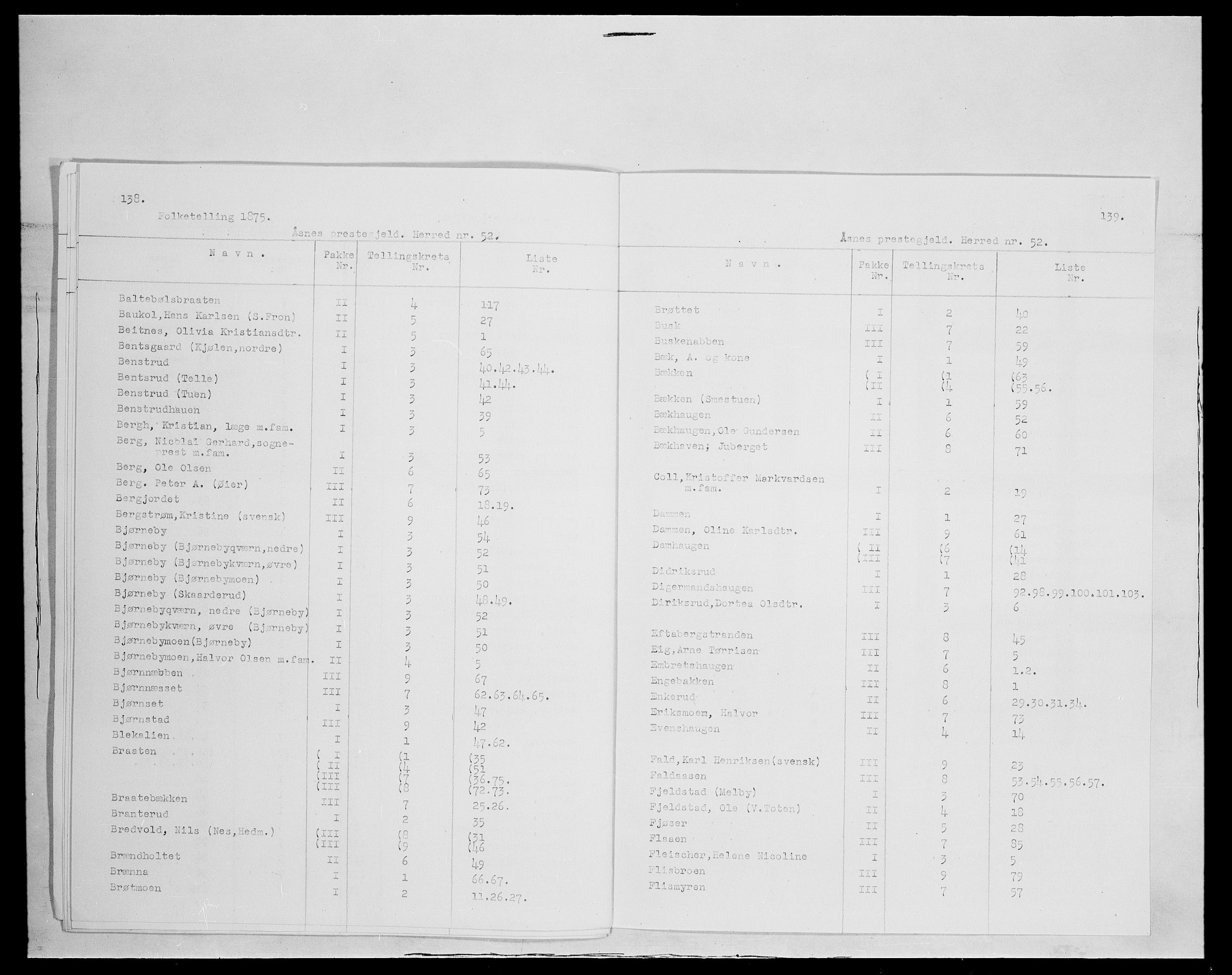 SAH, 1875 census for 0425P Åsnes, 1875, p. 2