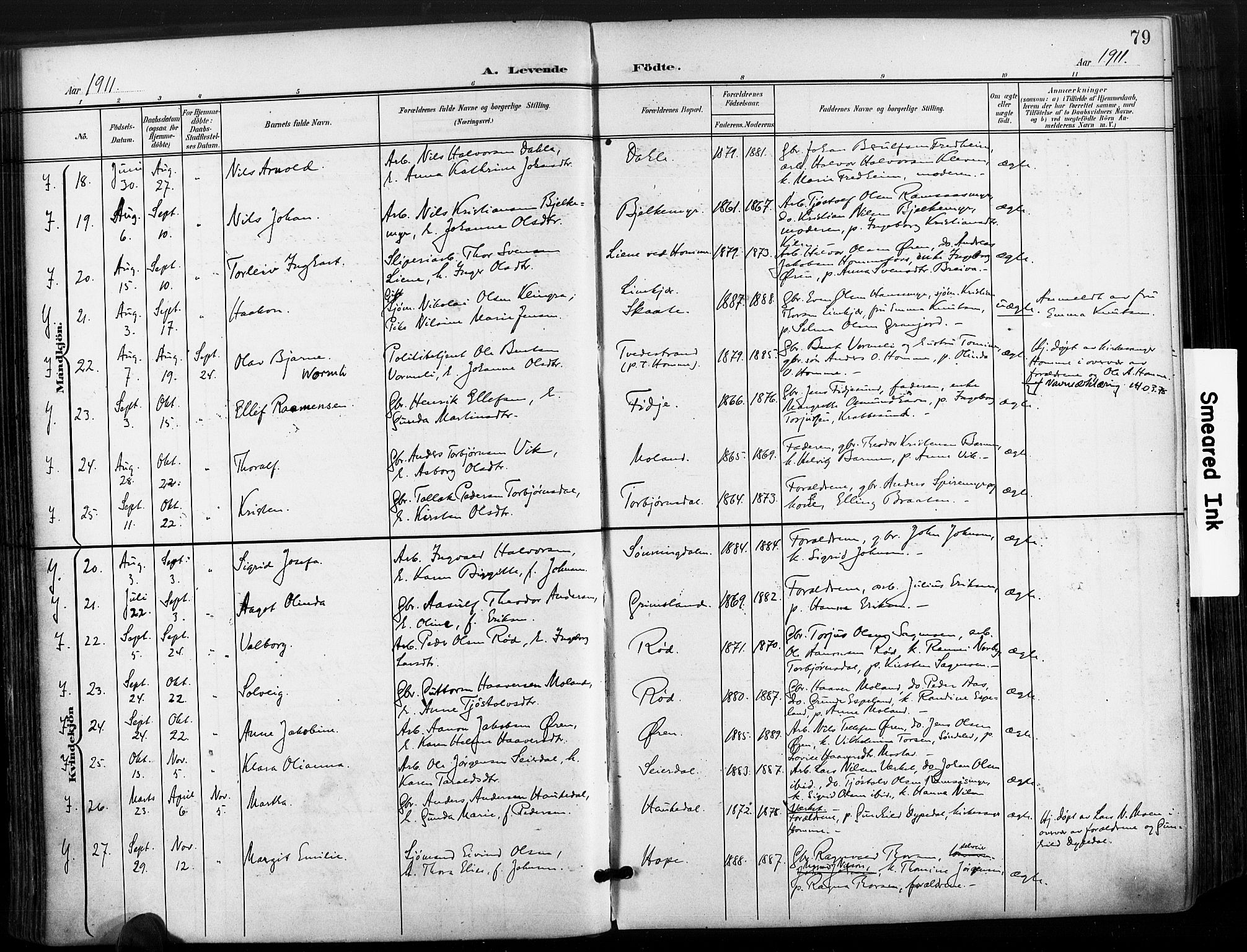 Søndeled sokneprestkontor, AV/SAK-1111-0038/F/Fa/L0006: Parish register (official) no. A 6, 1900-1922, p. 79