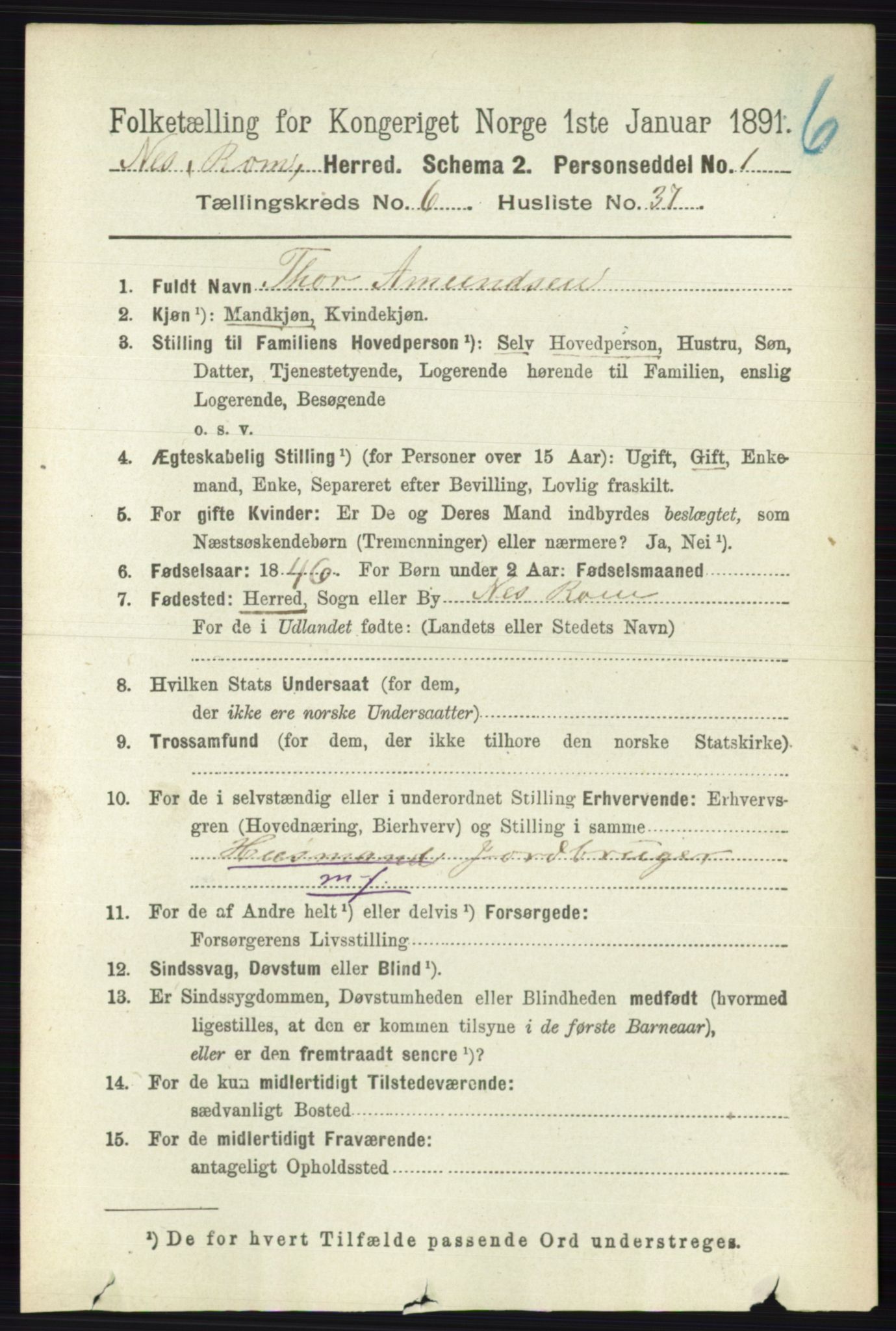 RA, 1891 census for 0236 Nes, 1891, p. 3613