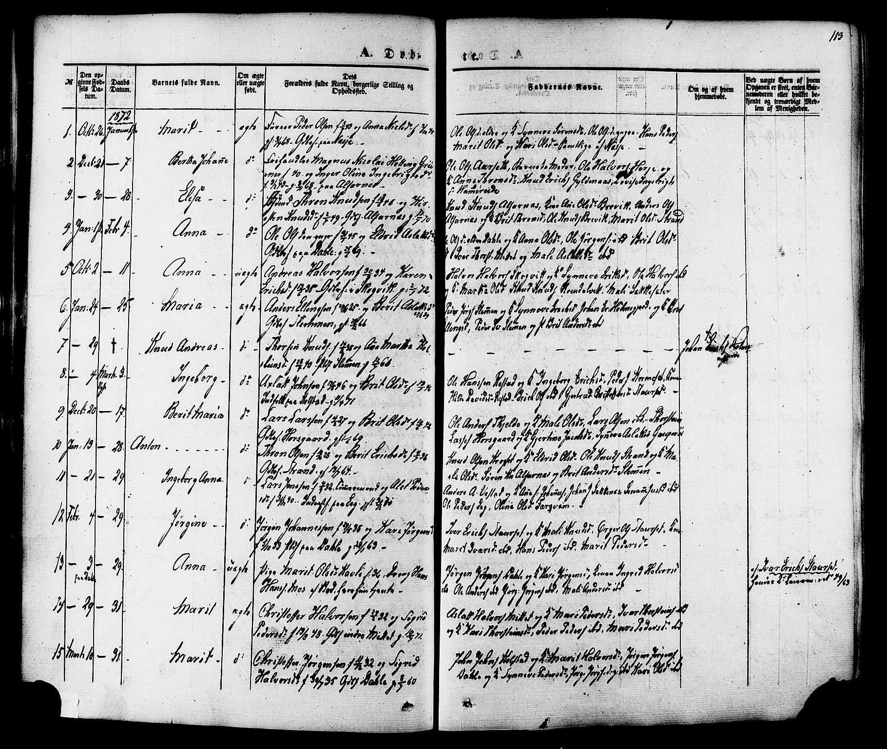 Ministerialprotokoller, klokkerbøker og fødselsregistre - Møre og Romsdal, AV/SAT-A-1454/547/L0603: Parish register (official) no. 547A05, 1846-1877, p. 113