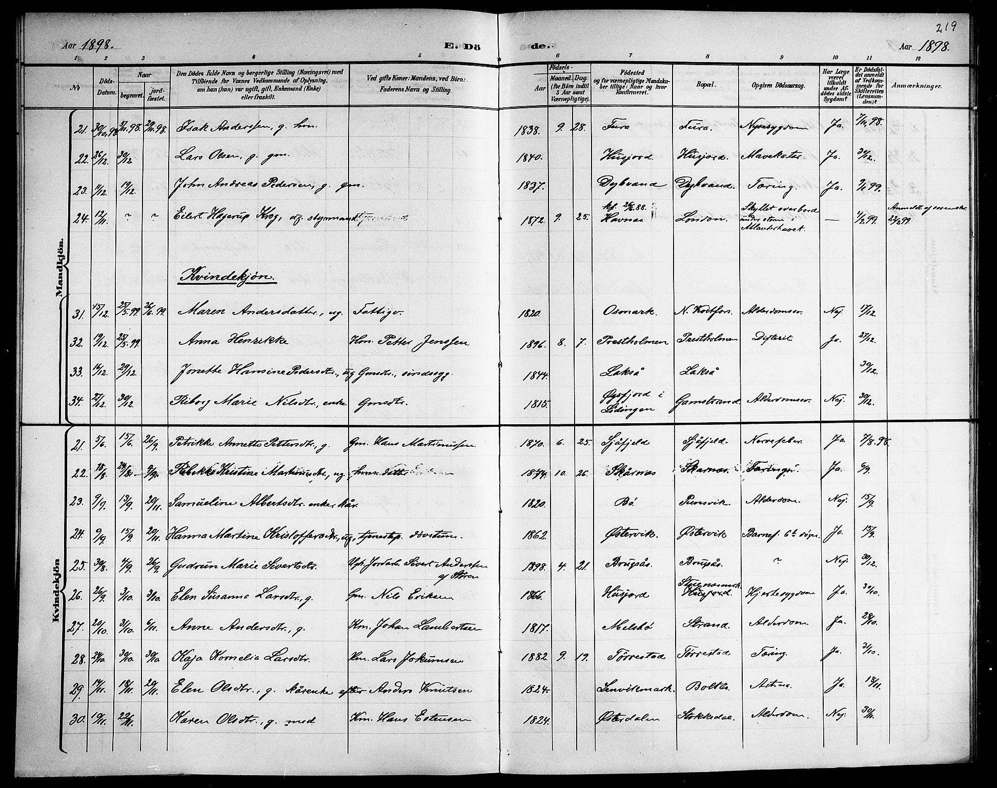 Ministerialprotokoller, klokkerbøker og fødselsregistre - Nordland, SAT/A-1459/863/L0915: Parish register (copy) no. 863C05, 1898-1907, p. 219
